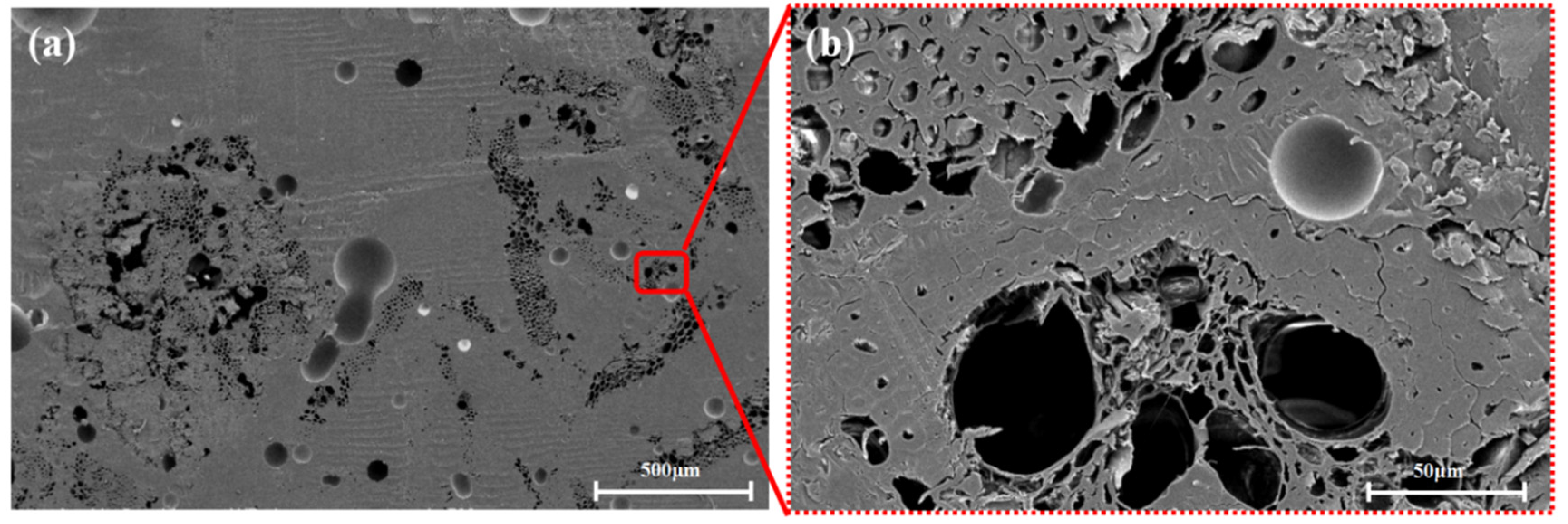 Polymers 13 02913 g004