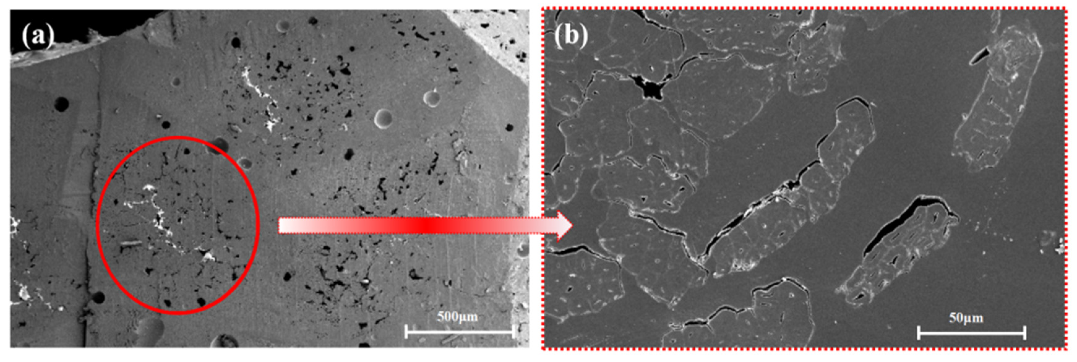Polymers 13 02913 g005