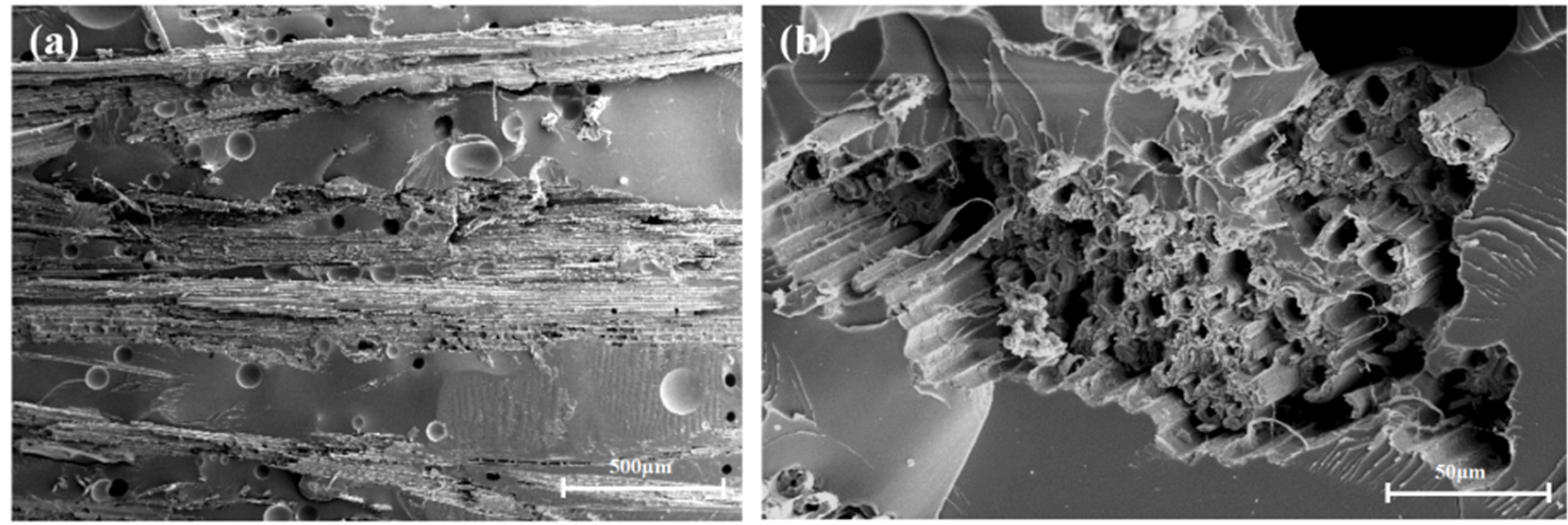 Polymers 13 02913 g007