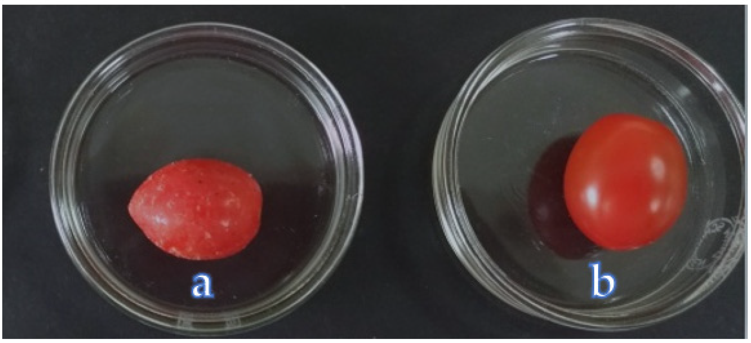 Polymers 13 02919 g001 Polymers 13 02919 g001