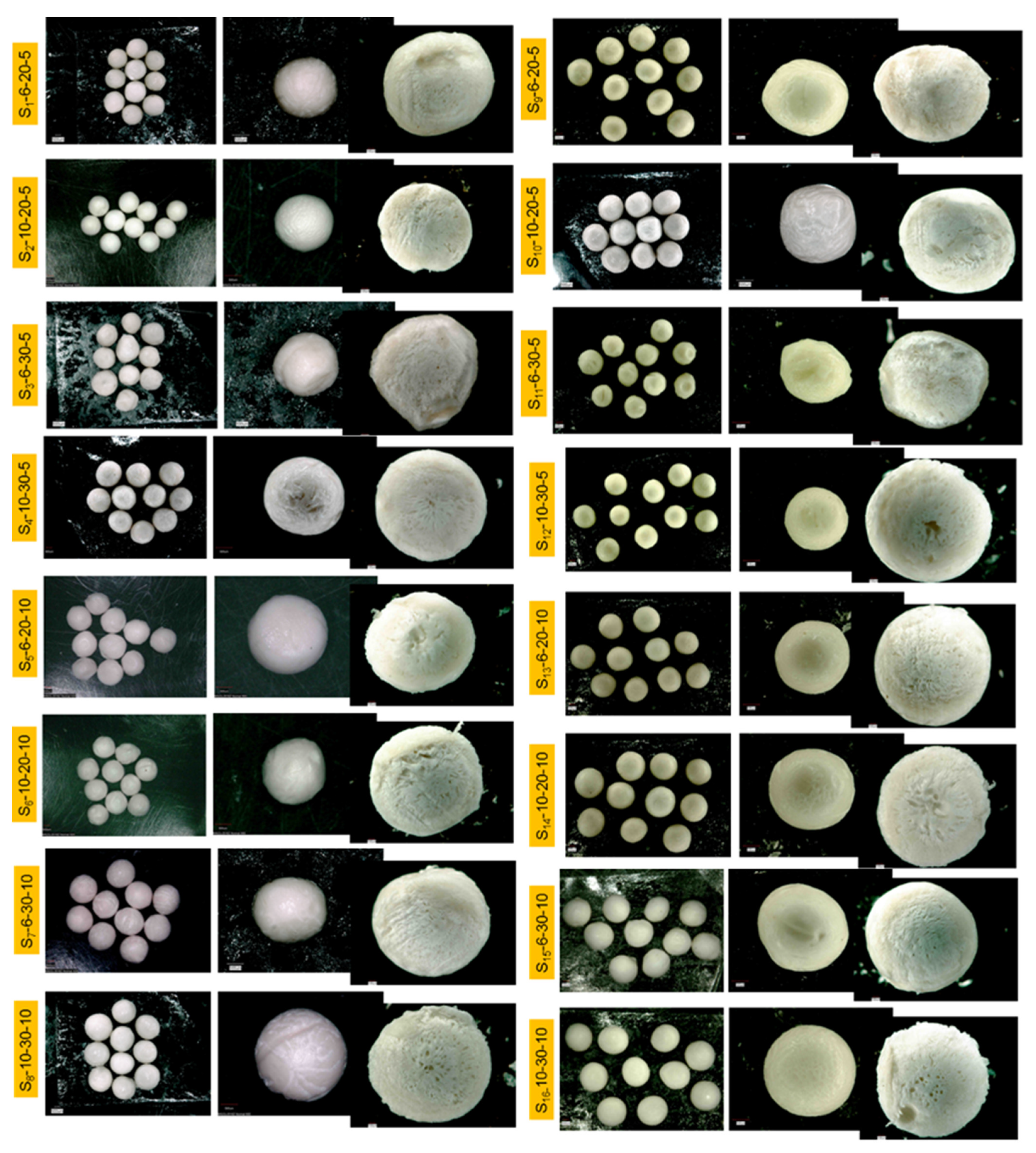 Polymers 13 02920 g004