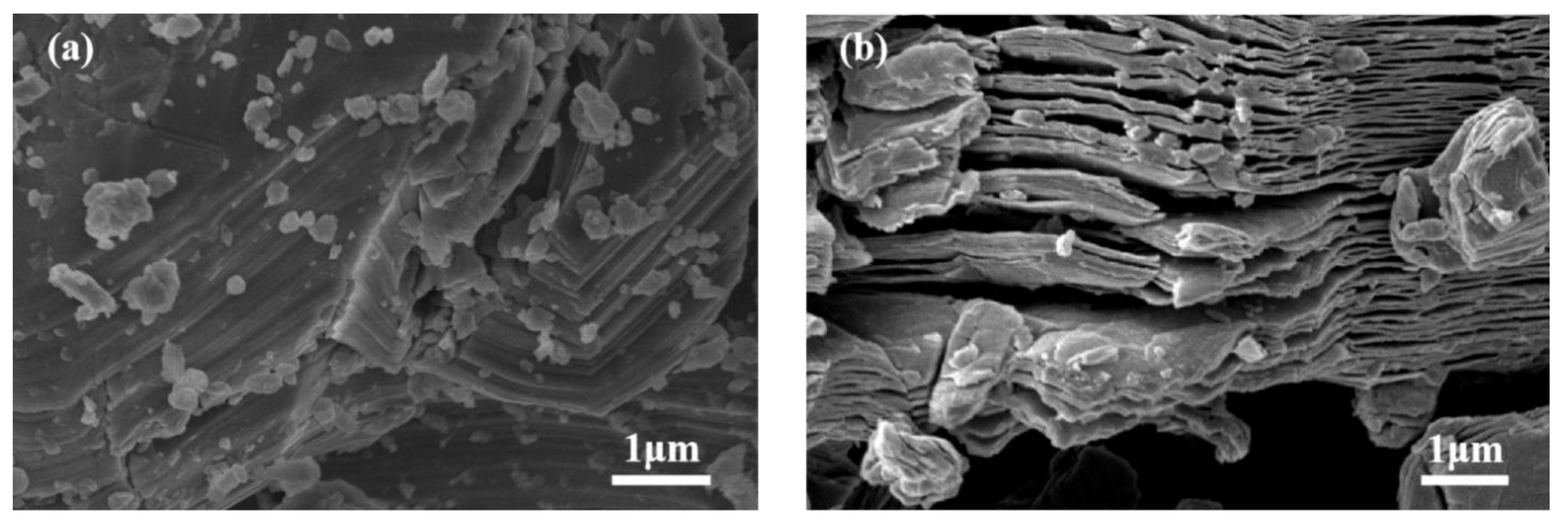 Polymers 13 02931 g001