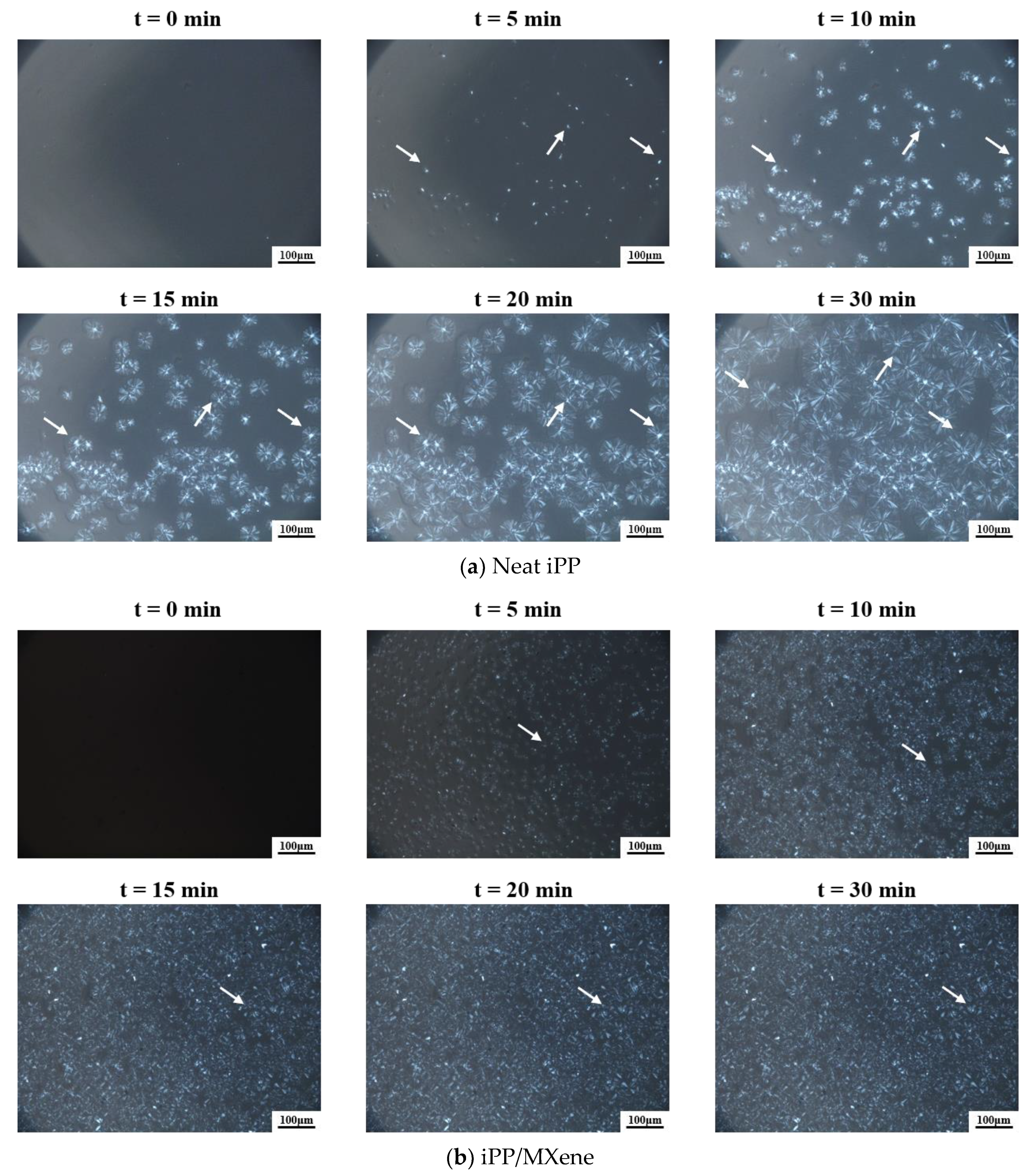 Polymers 13 02931 g010a