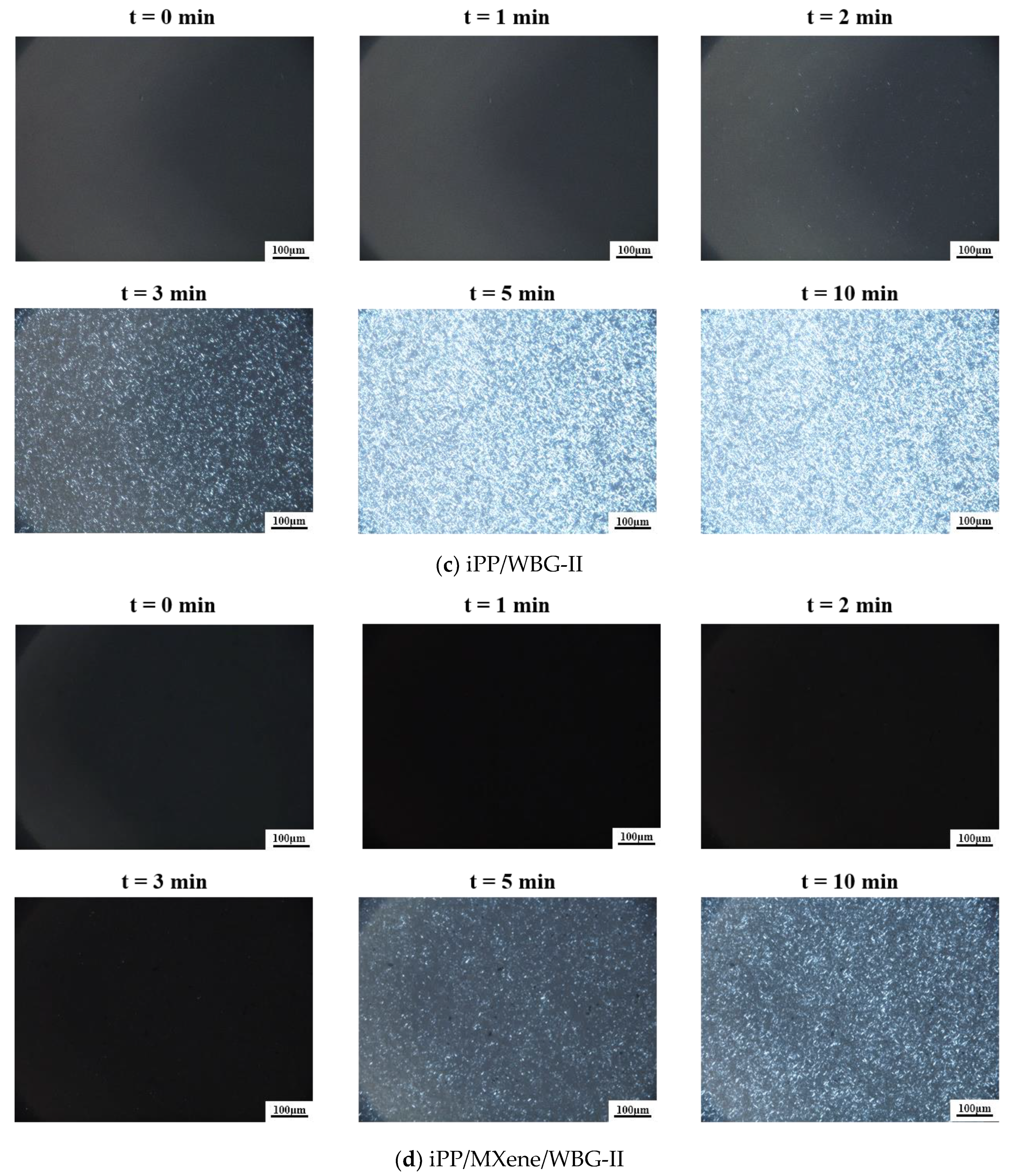 Polymers 13 02931 g010b