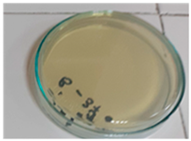 Polymers 13 02932 i001