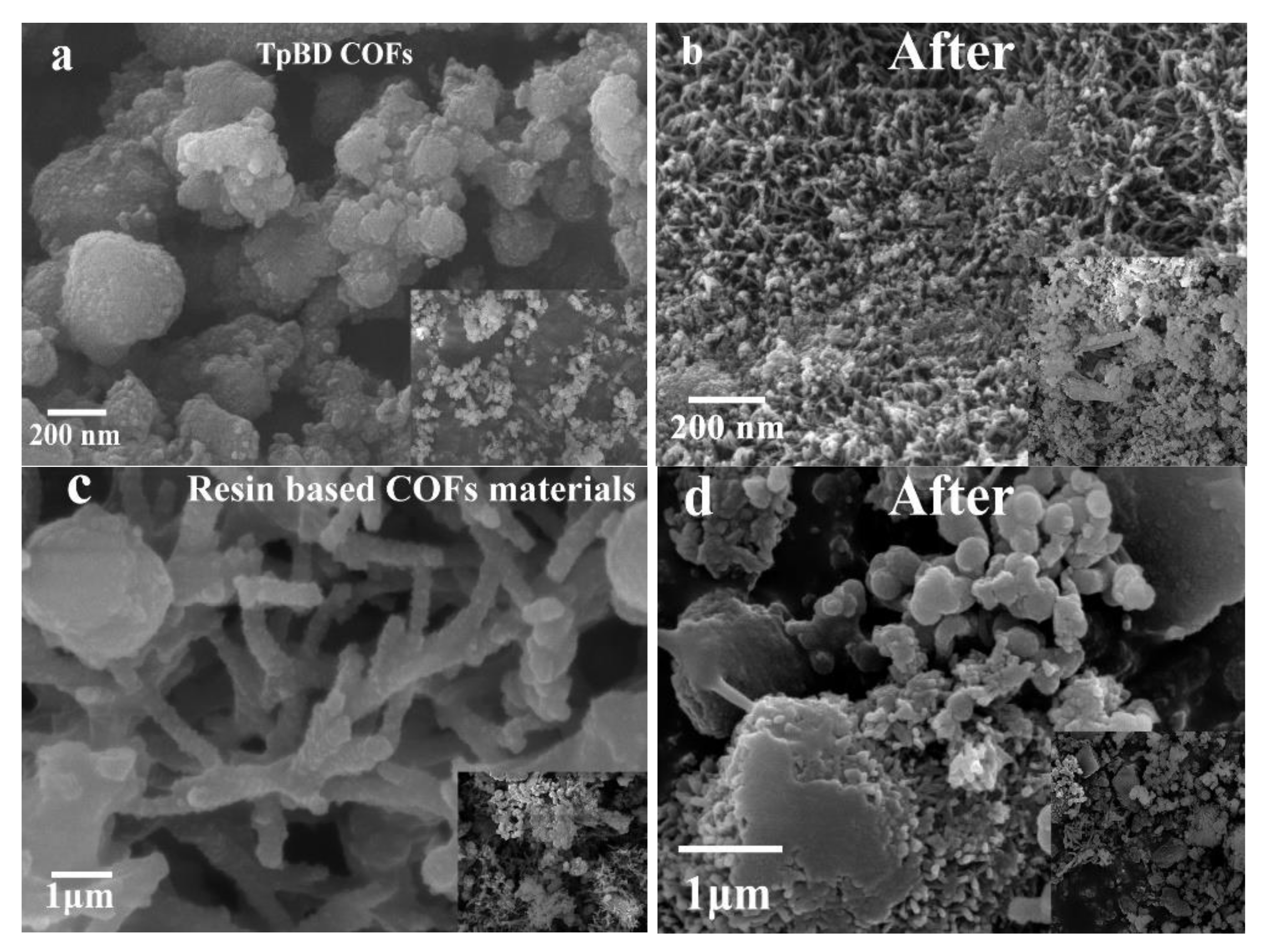 Polymers 13 02935 g005