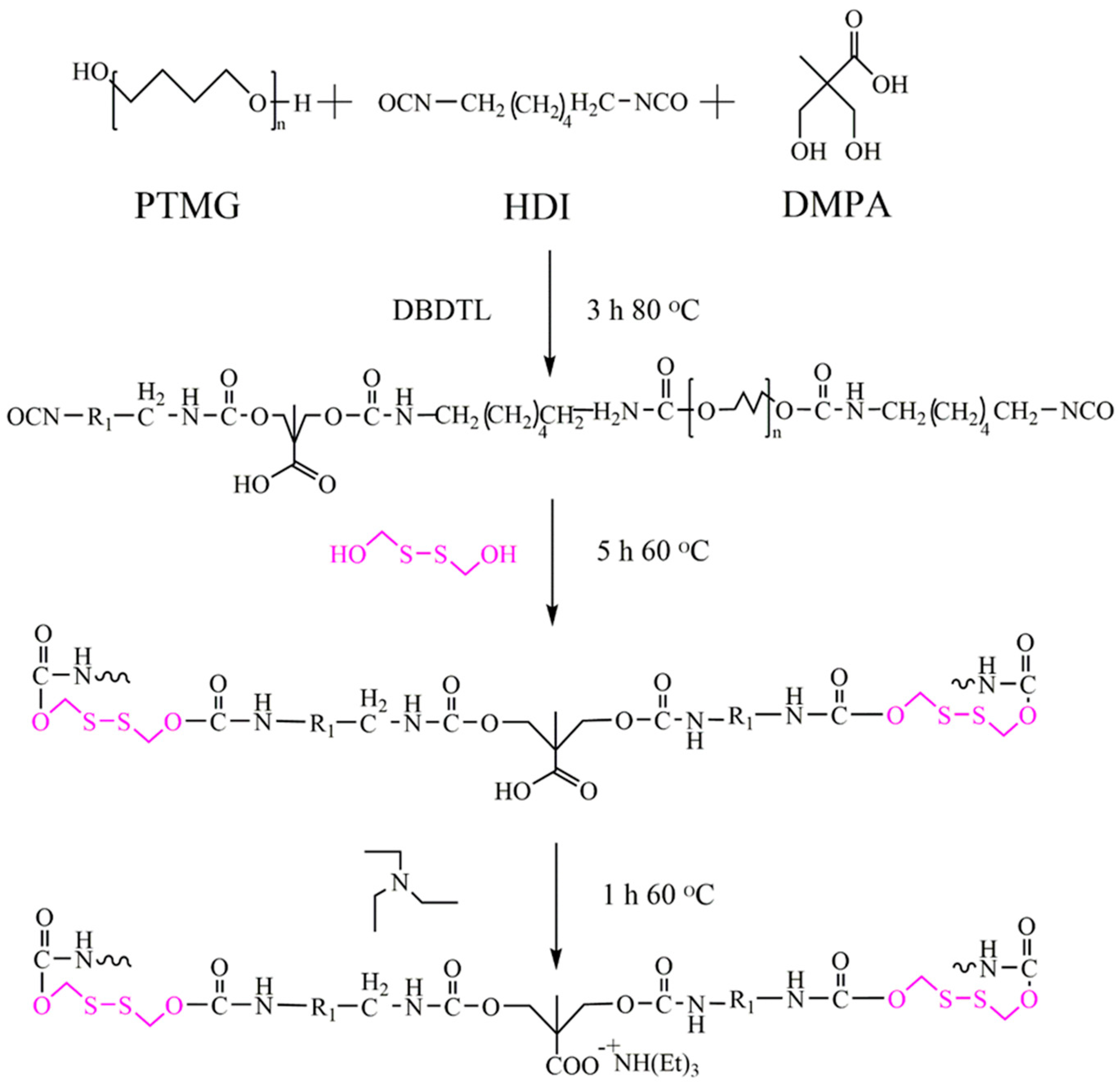 Polymers 13 02936 g001