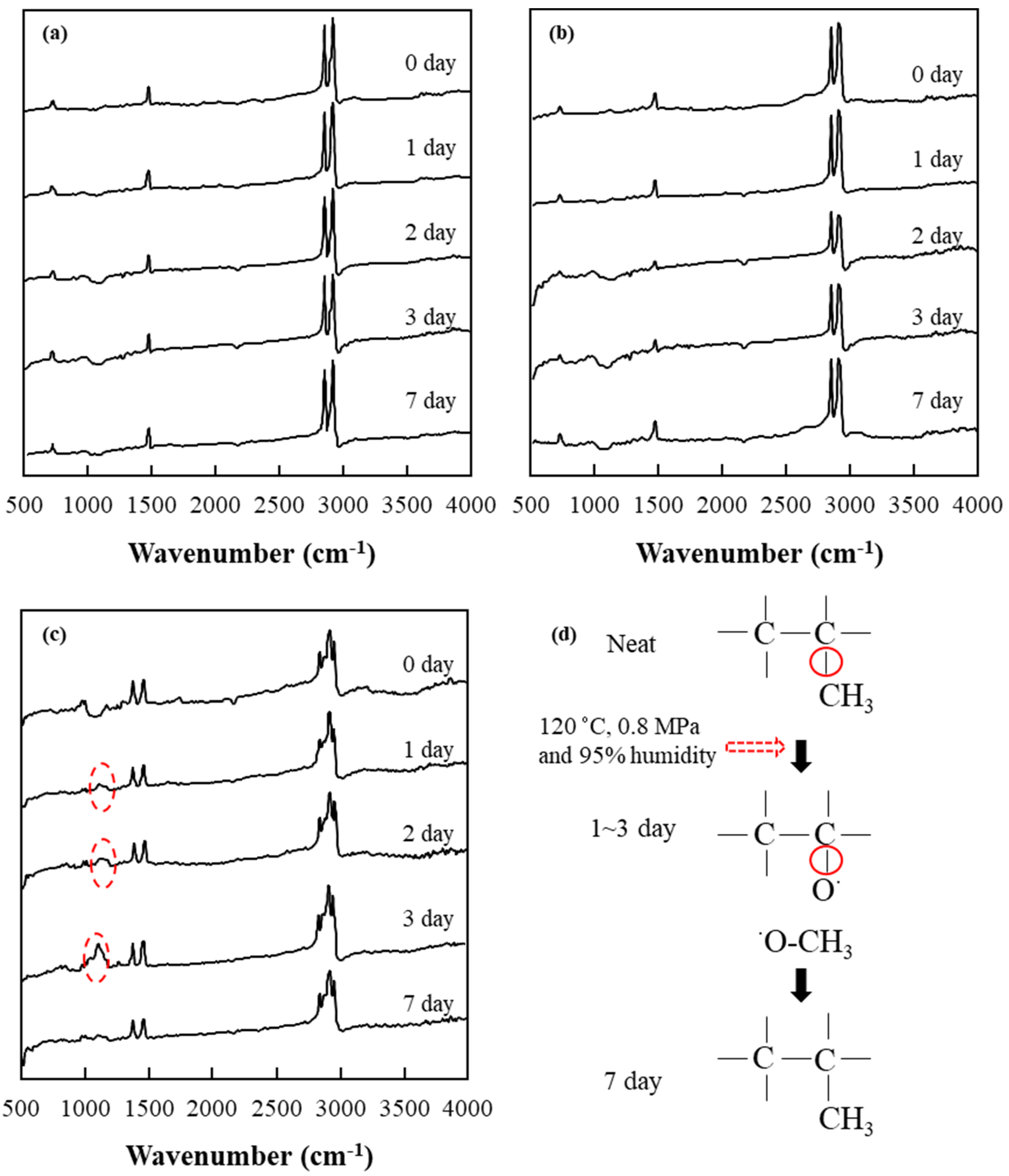Polymers 13 02938 g007 Polymers 13 02938 g007