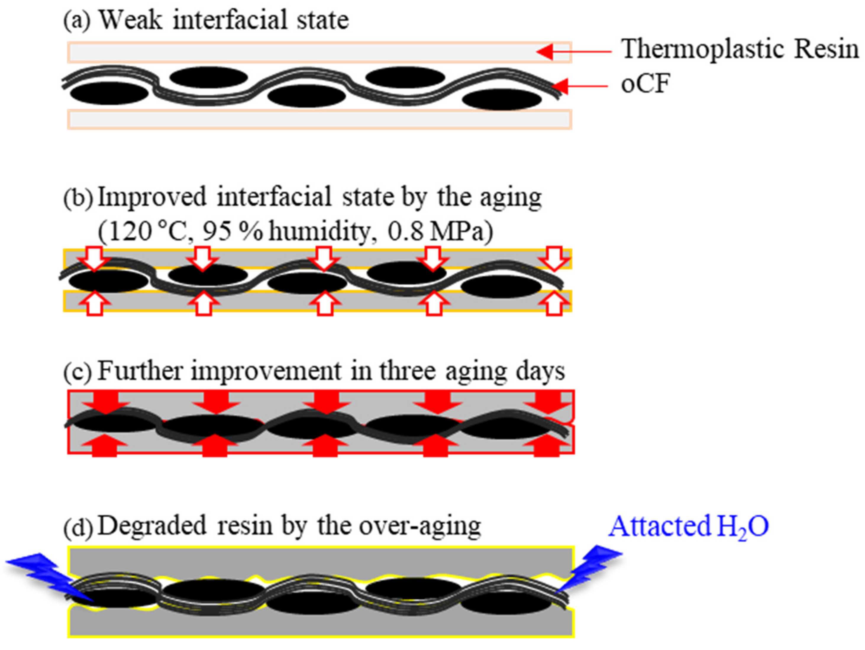 Polymers 13 02938 g009 Polymers 13 02938 g009