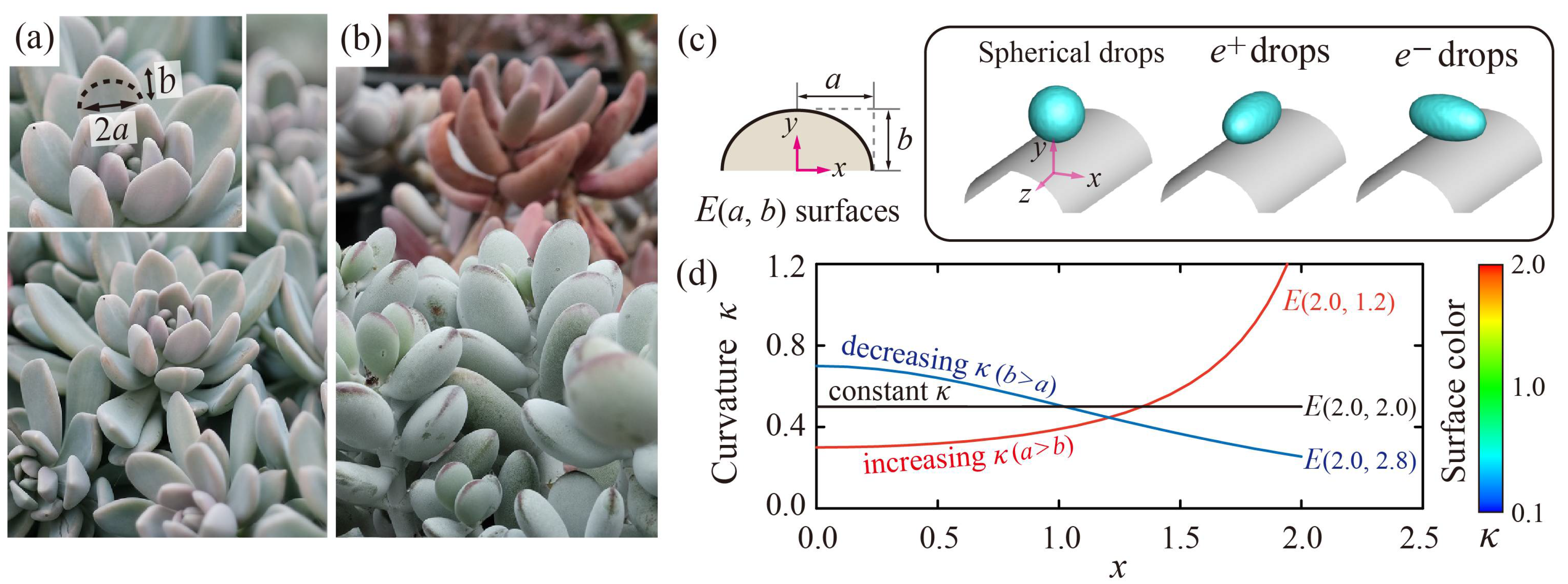 Polymers 13 02940 g001