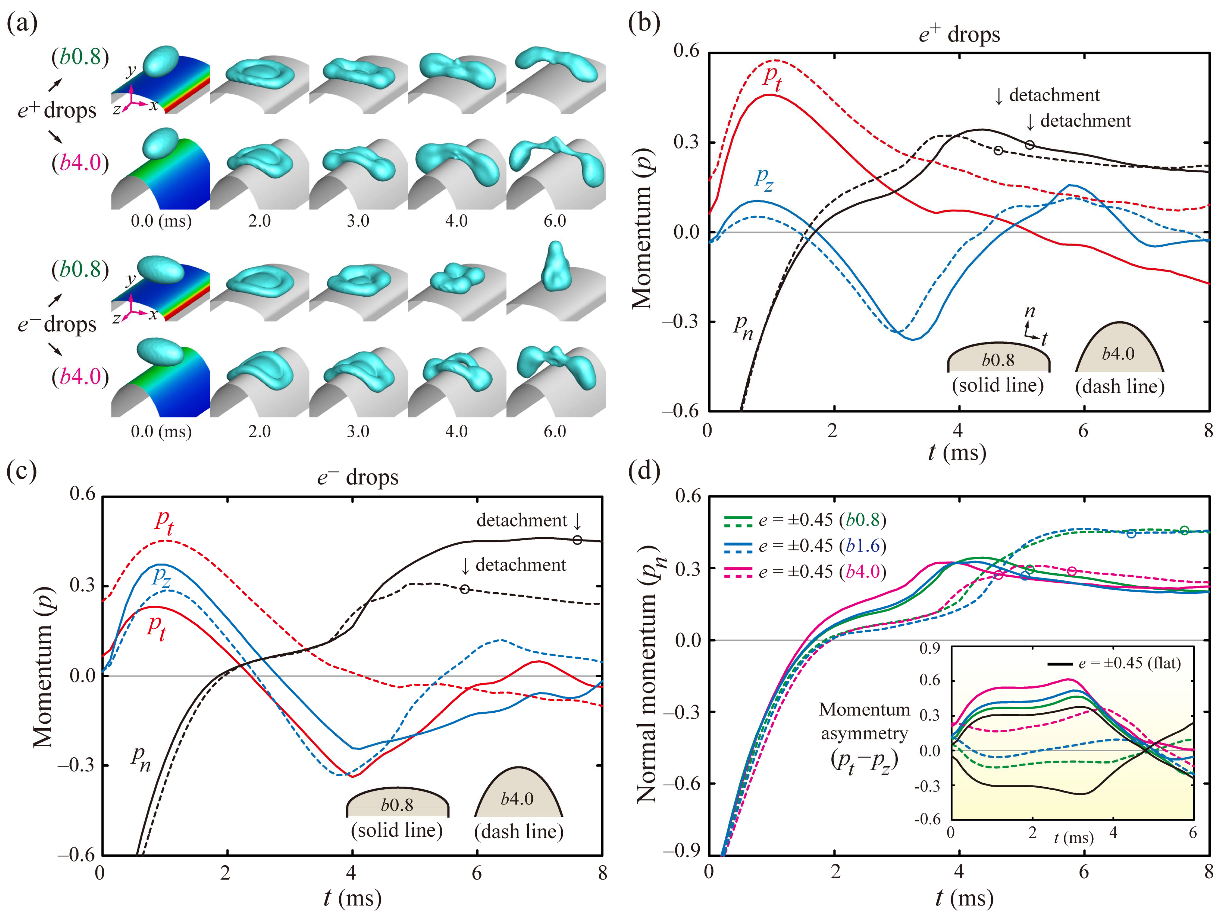 Polymers 13 02940 g005