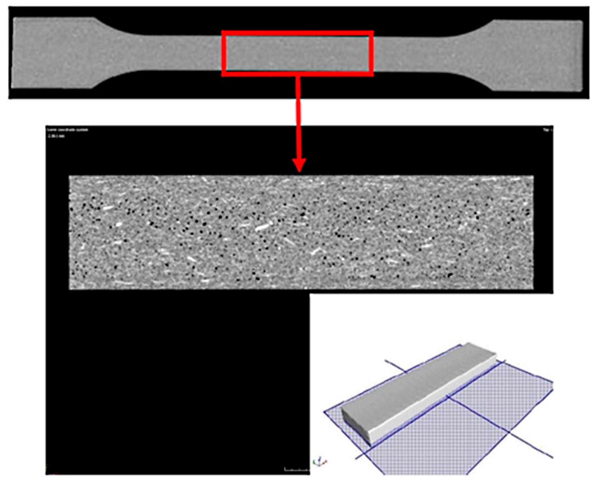 Polymers 13 02942 g001