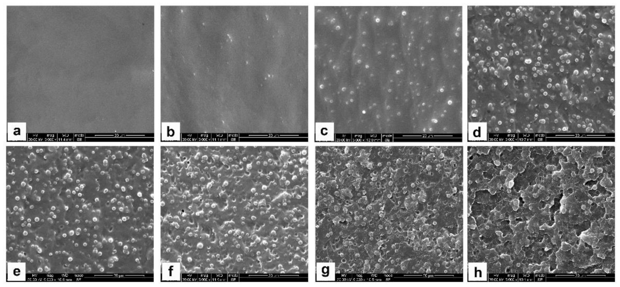 Polymers 13 02945 g005