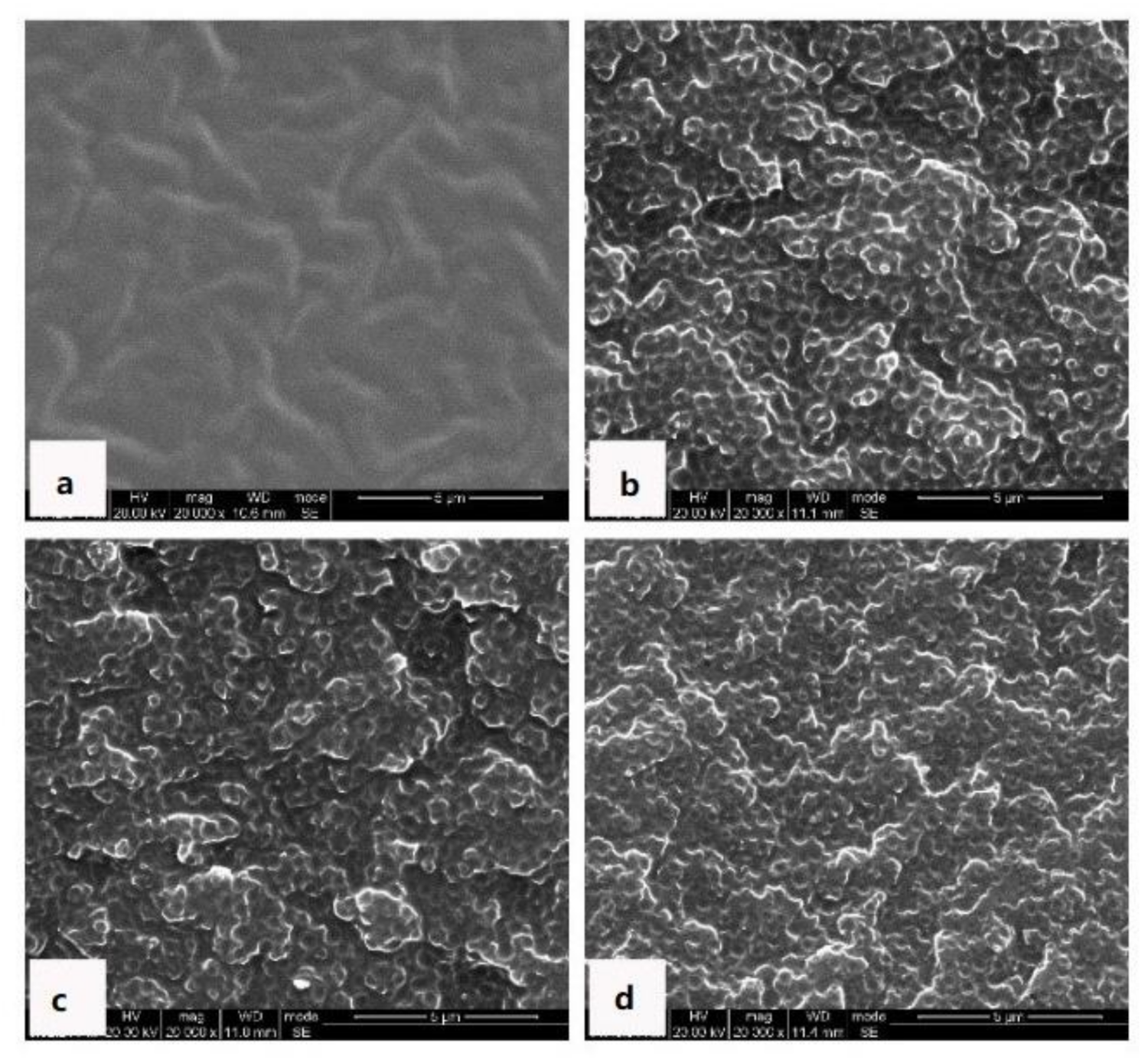 Polymers 13 02945 g007