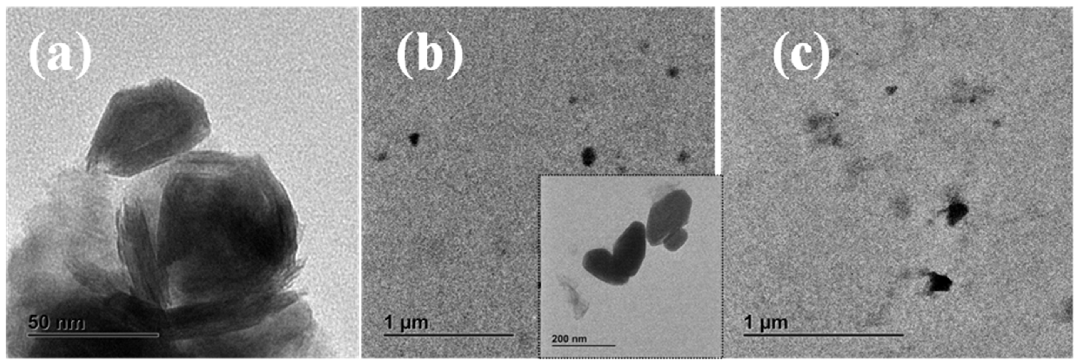 Polymers 13 02947 g001
