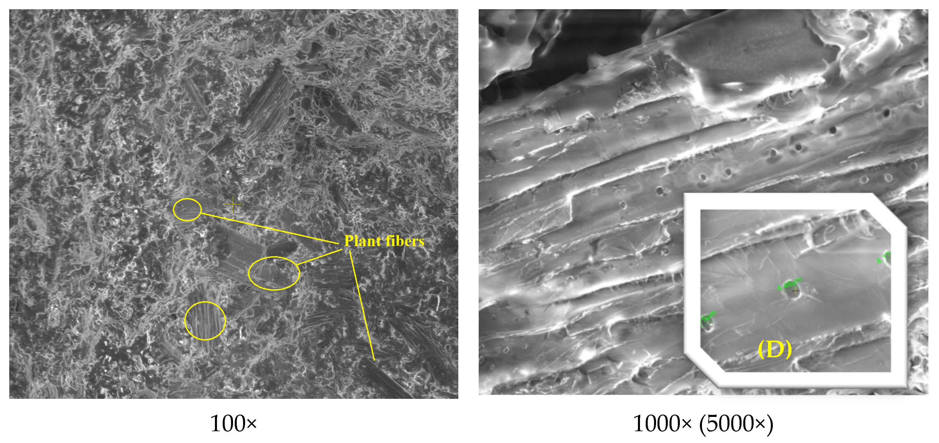 Polymers 13 02953 g014