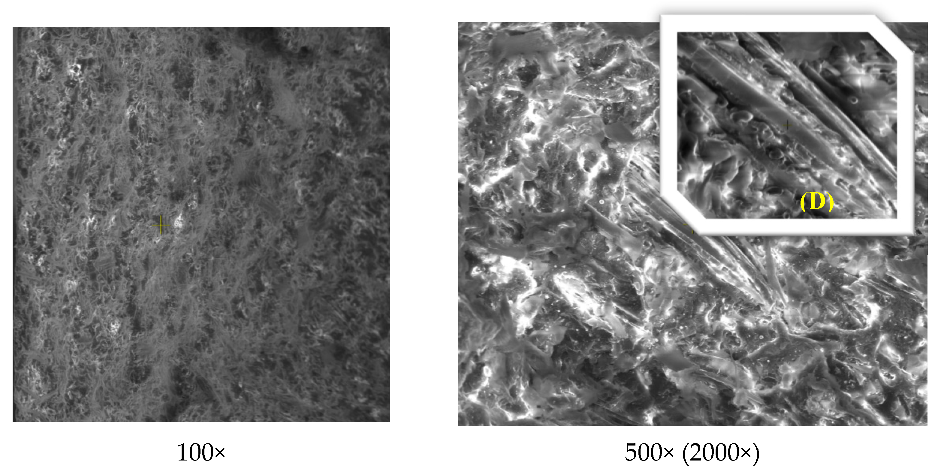 Polymers 13 02953 g015