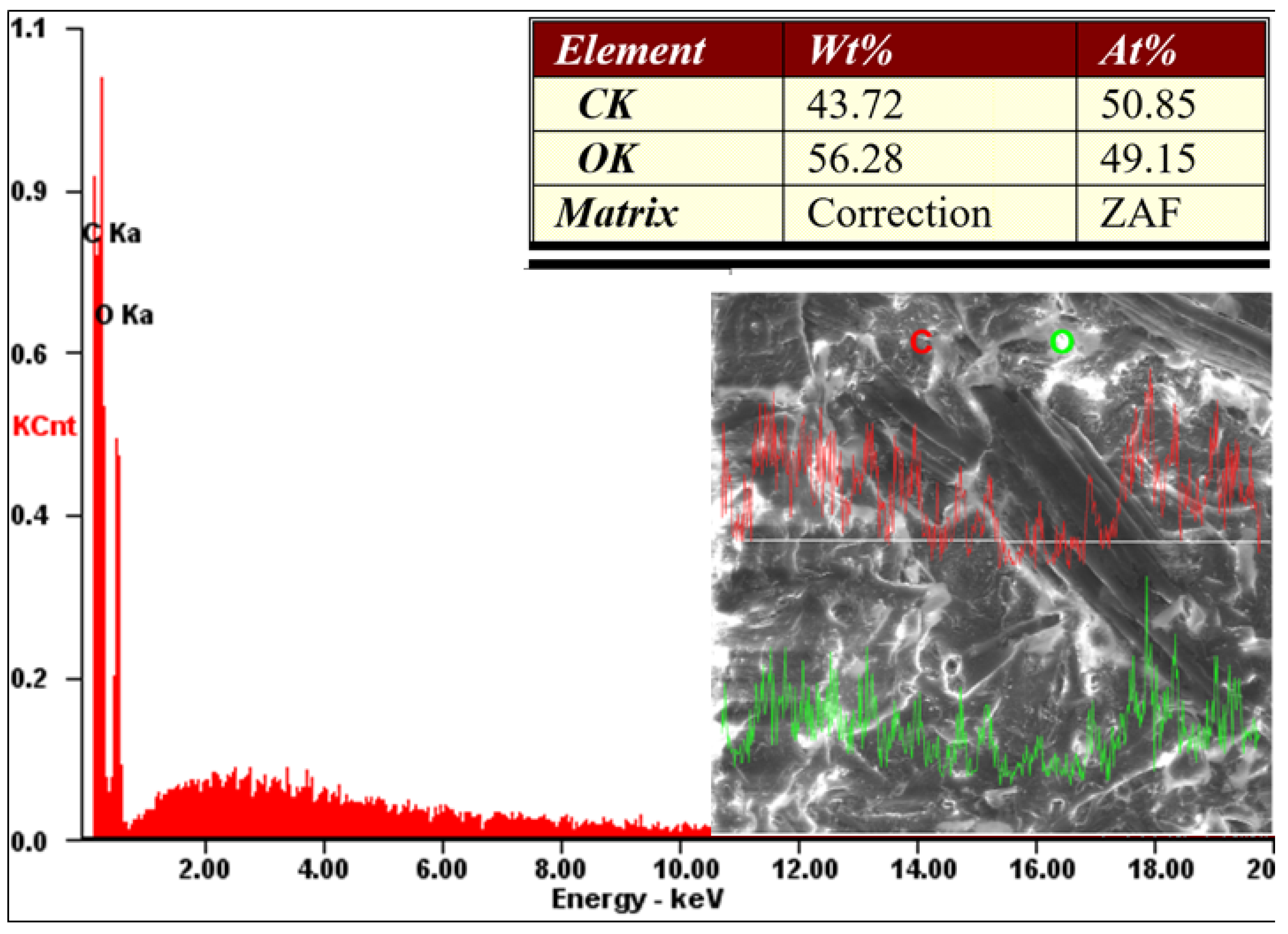 Polymers 13 02953 g016