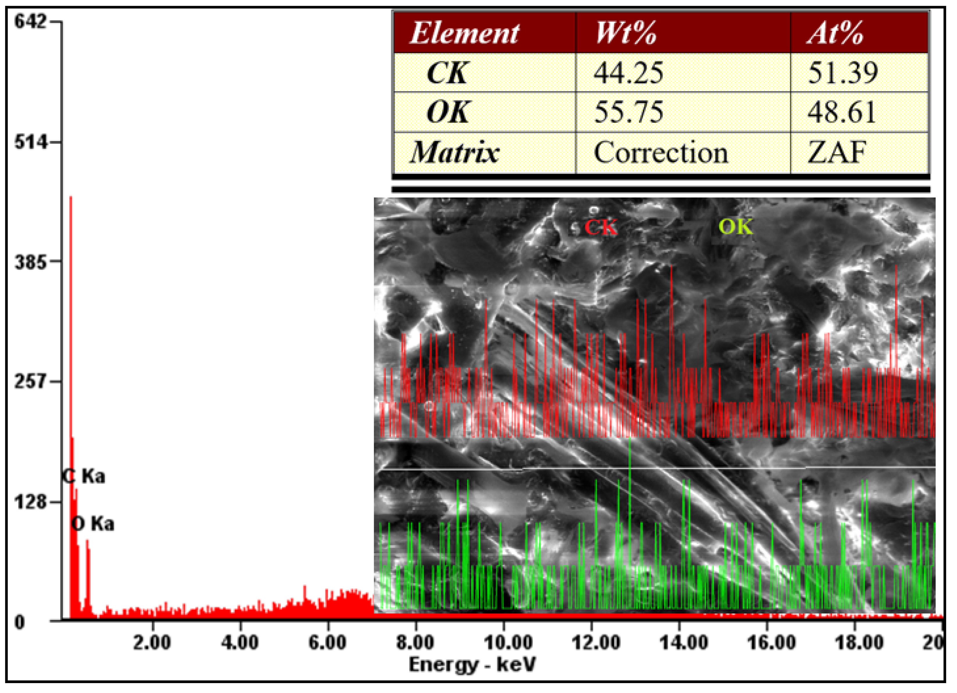 Polymers 13 02953 g017