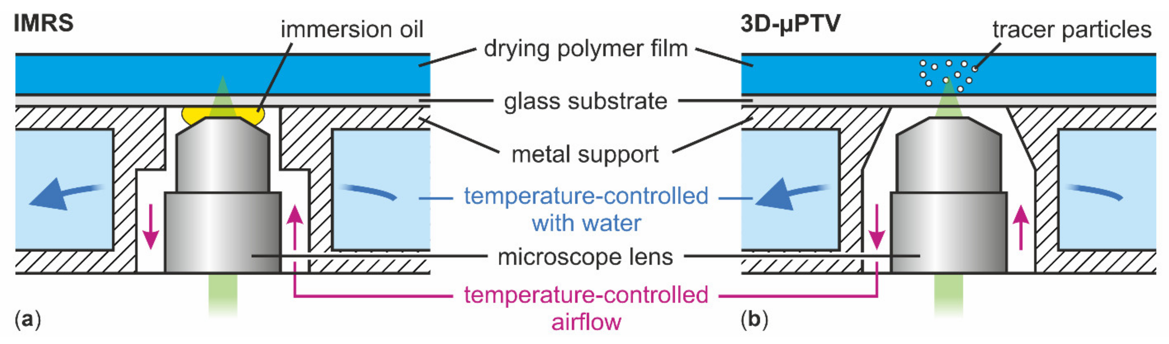 Polymers 13 02955 g002 Polymers 13 02955 g002