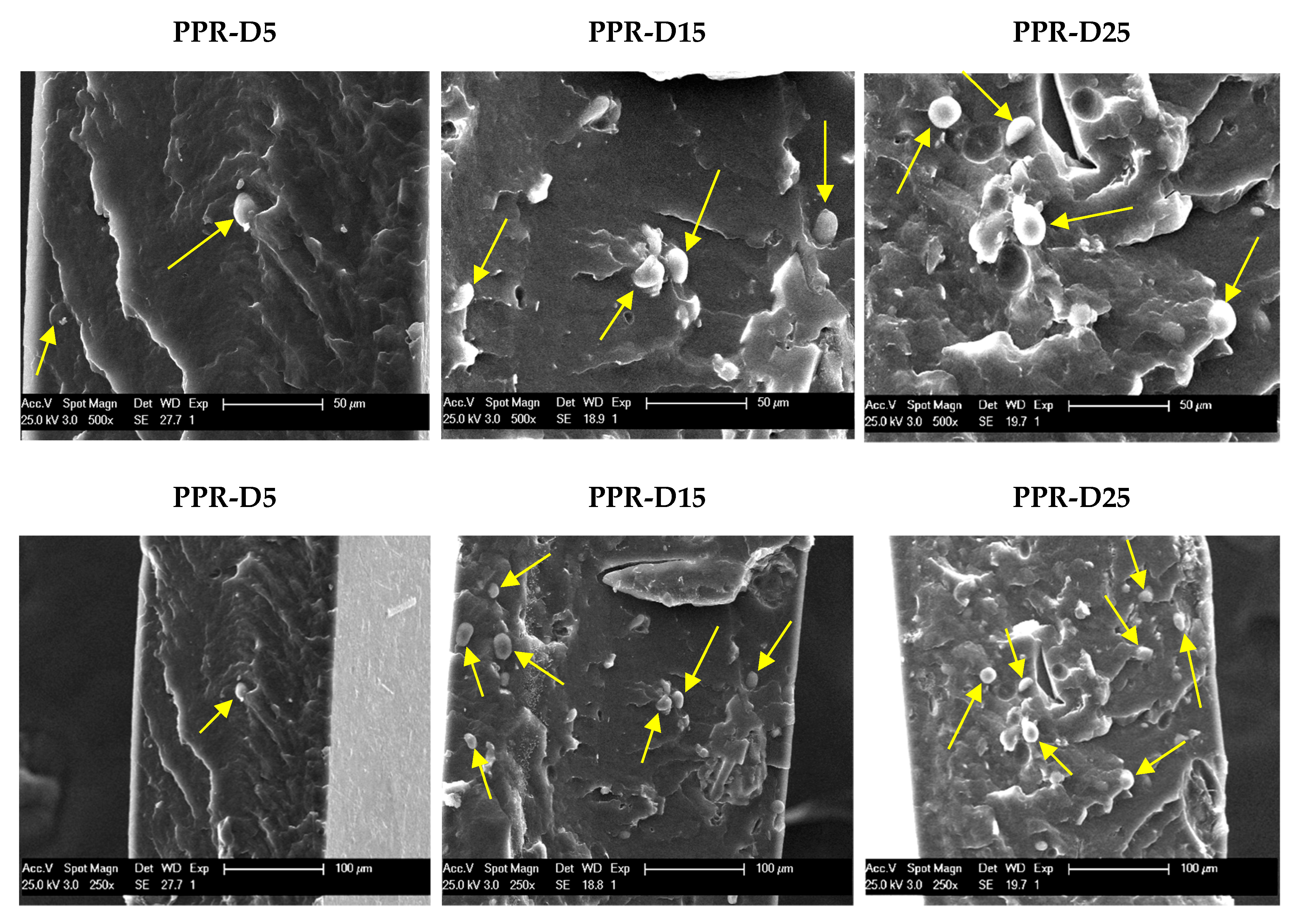 Polymers 13 02957 g001 Polymers 13 02957 g001