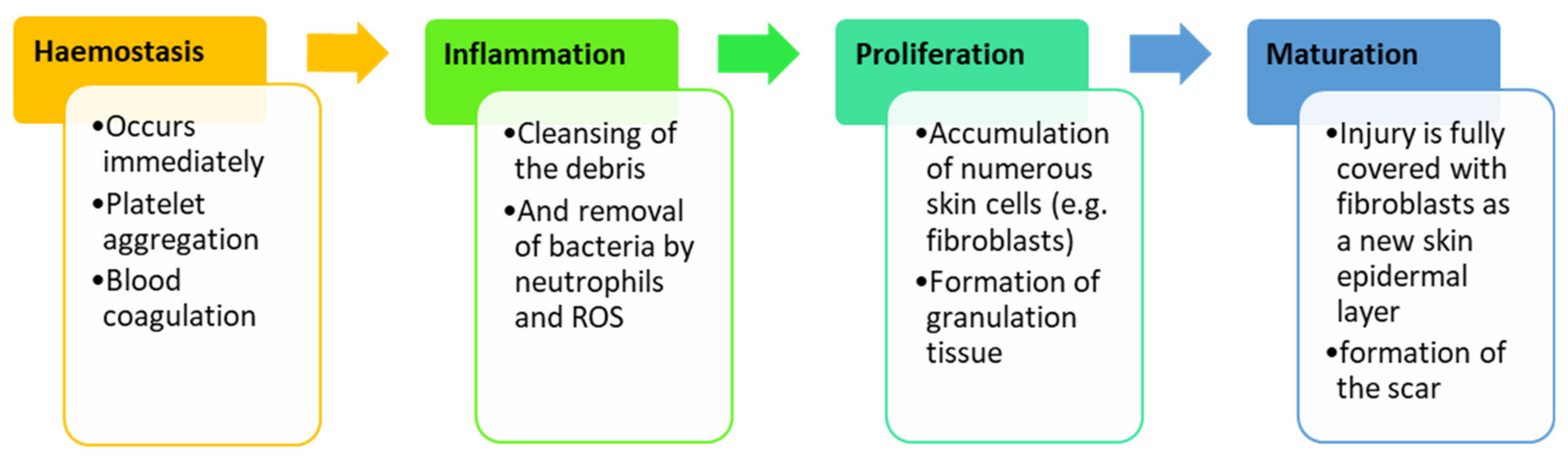 Polymers 13 02959 g002
