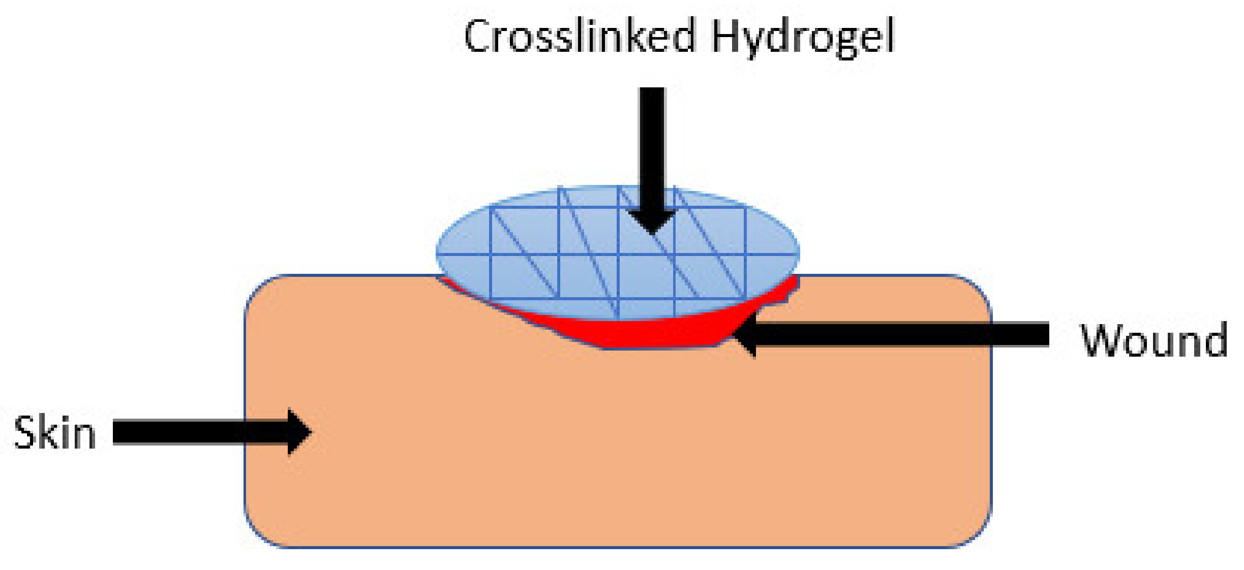 Polymers 13 02959 g005