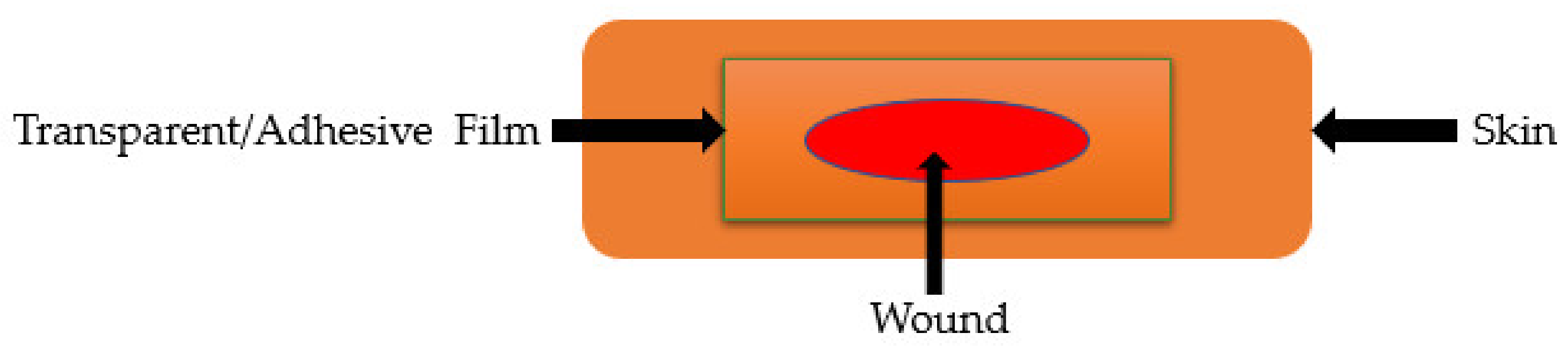 Polymers 13 02959 g006