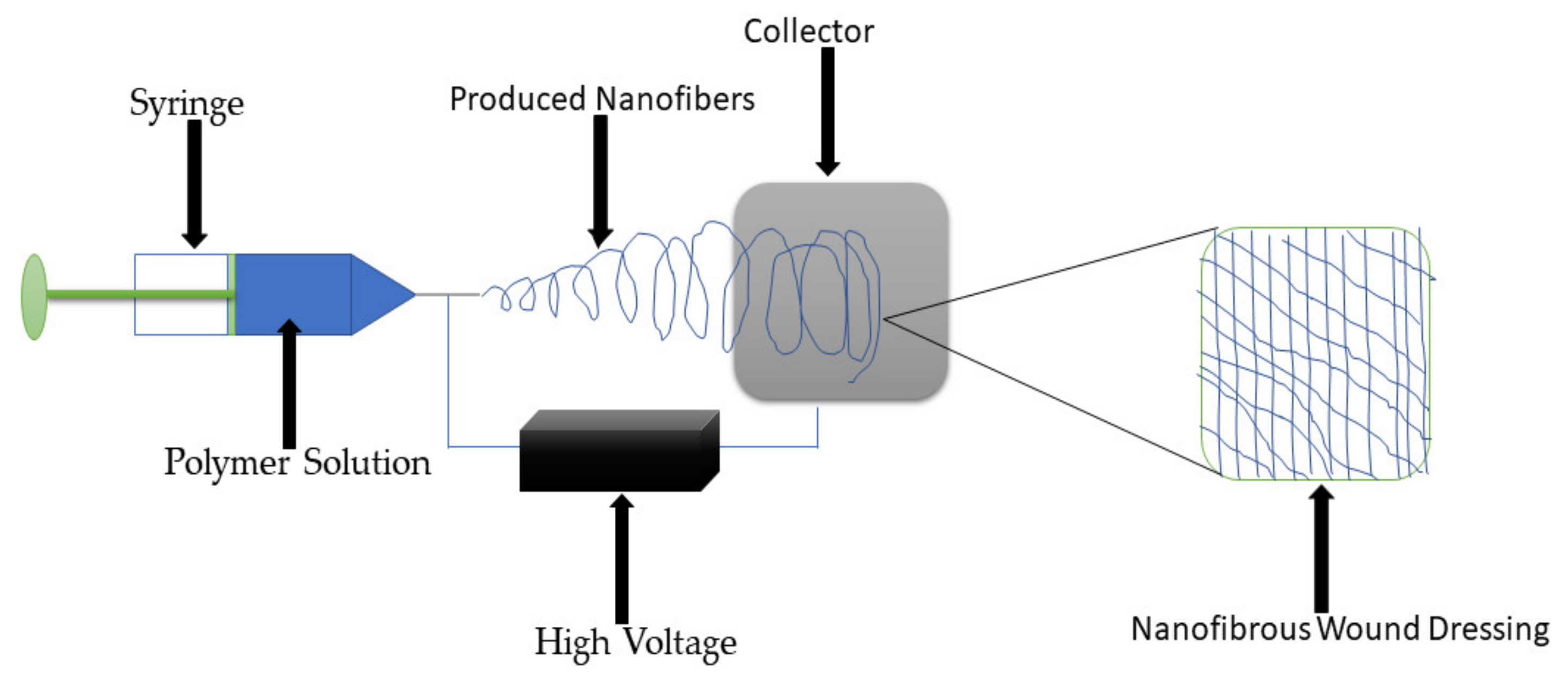 Polymers 13 02959 g008