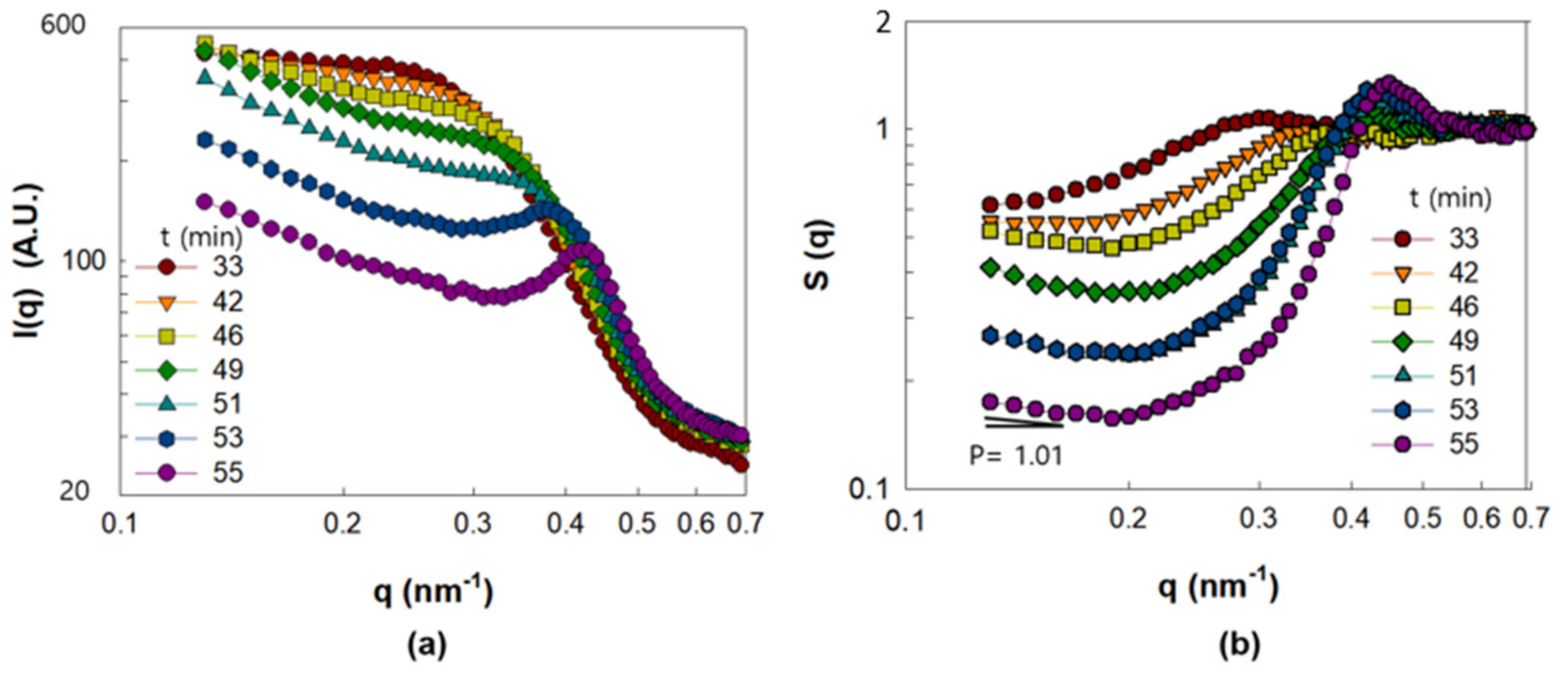 Polymers 13 02960 g004