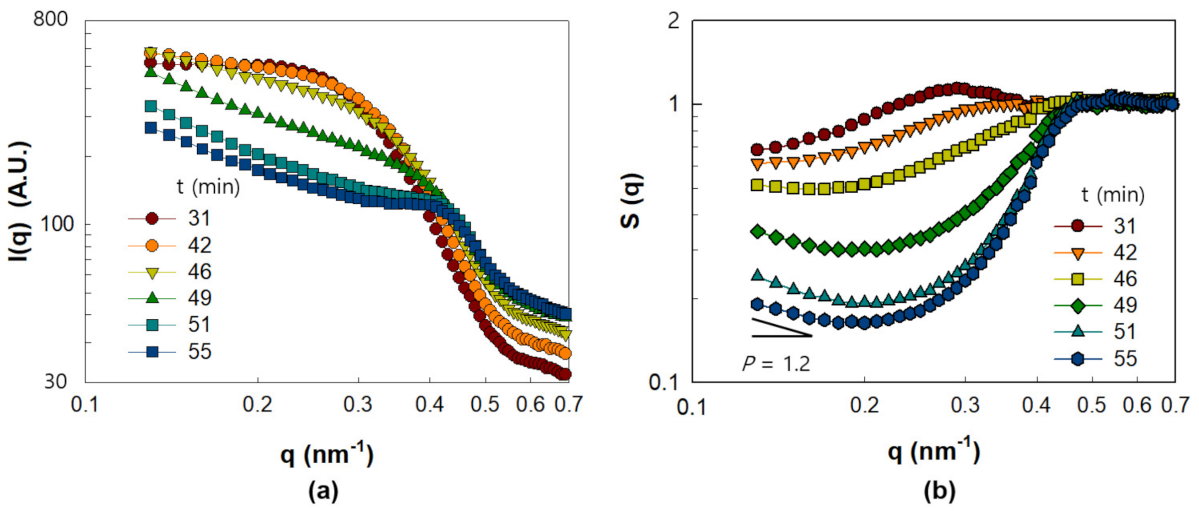 Polymers 13 02960 g006