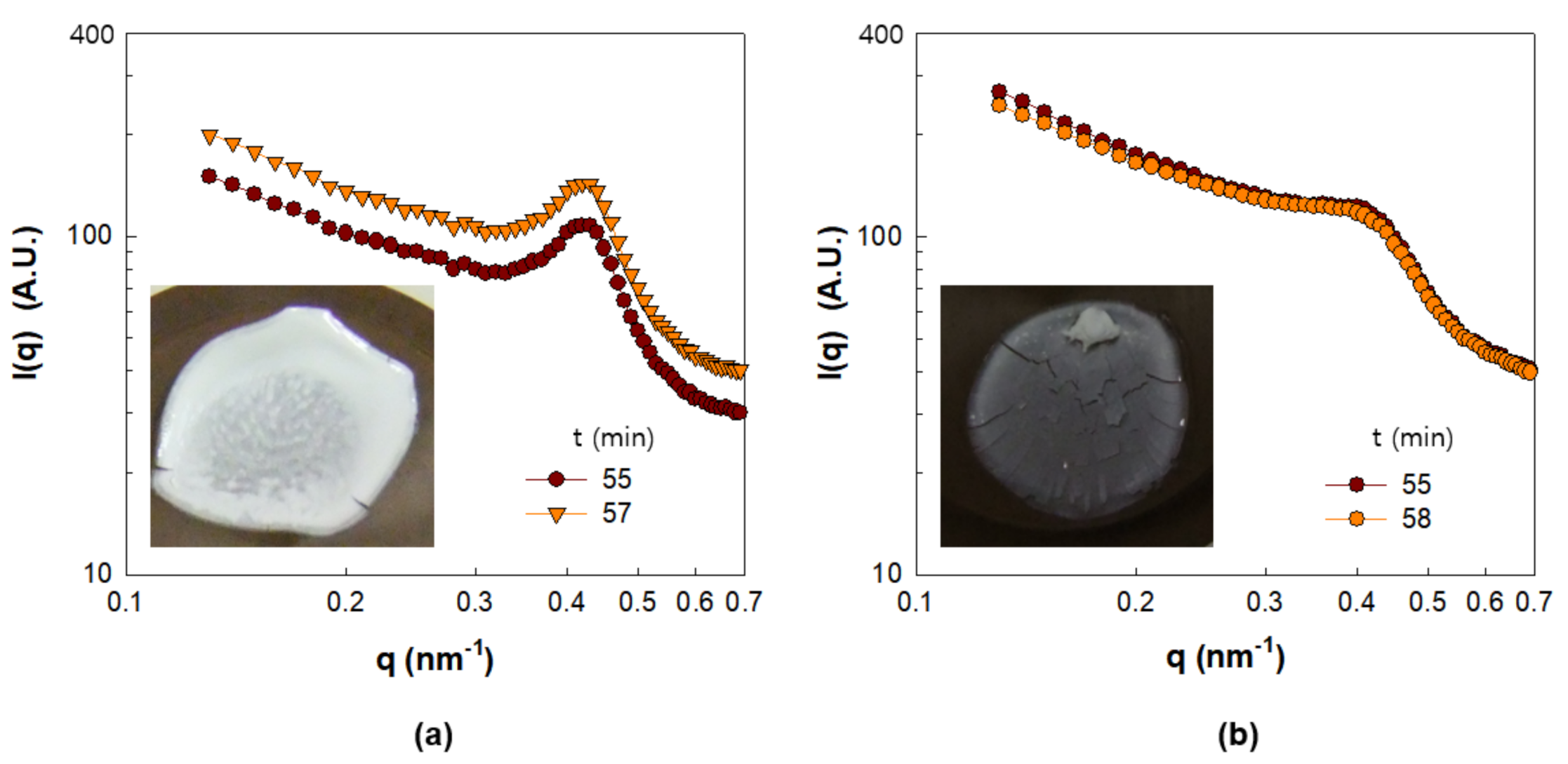 Polymers 13 02960 g009