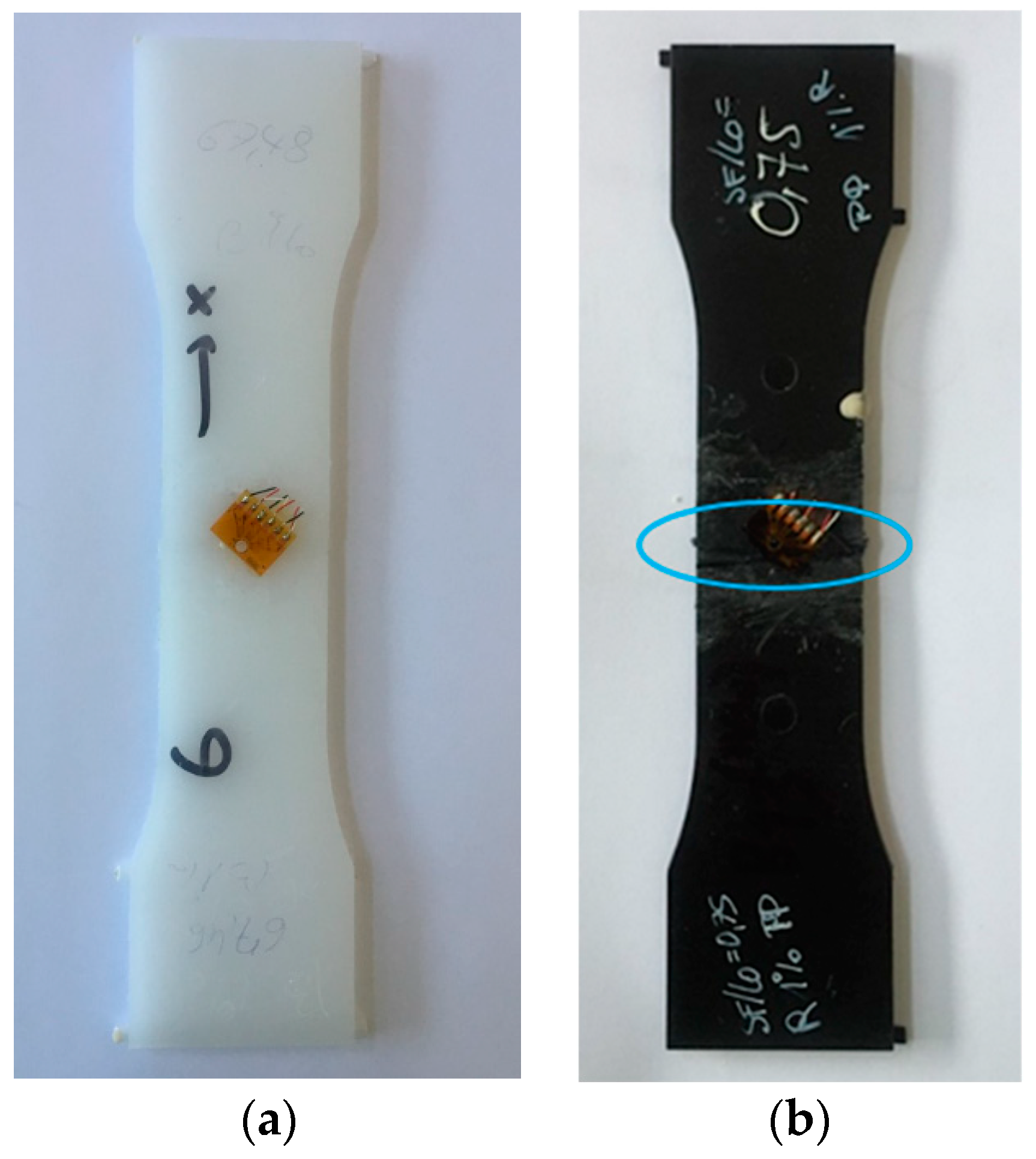 Polymers 13 02965 g004