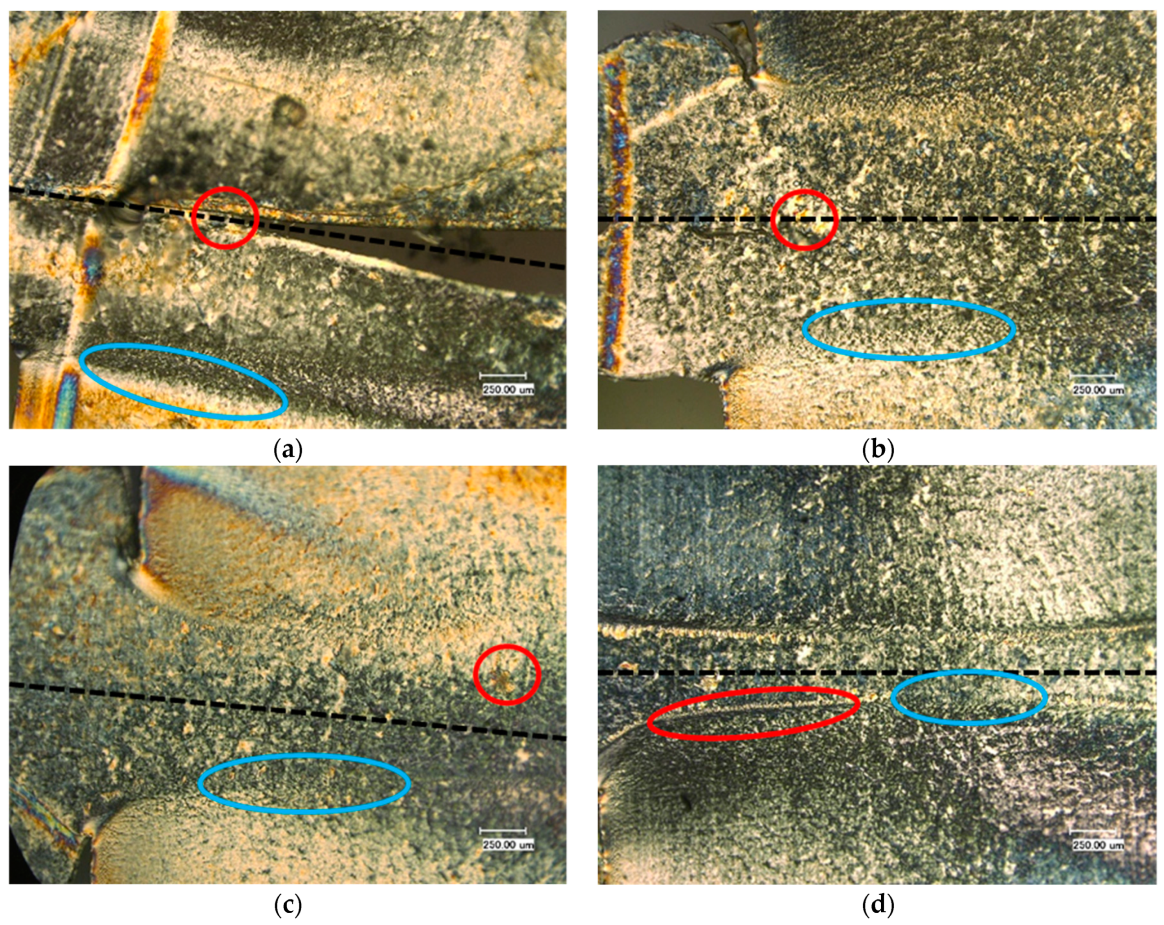 Polymers 13 02965 g005a
