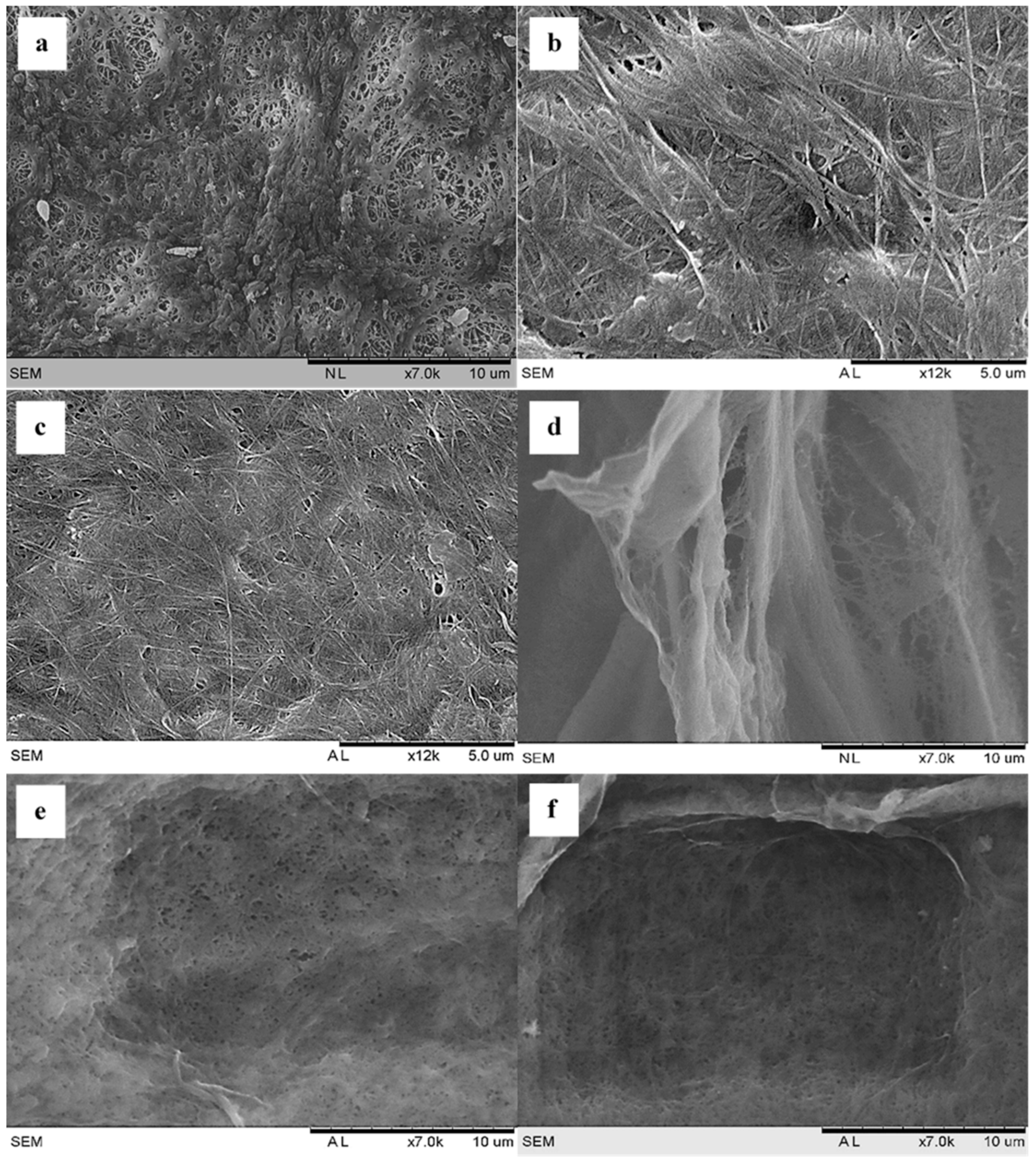 Polymers 13 02966 g001