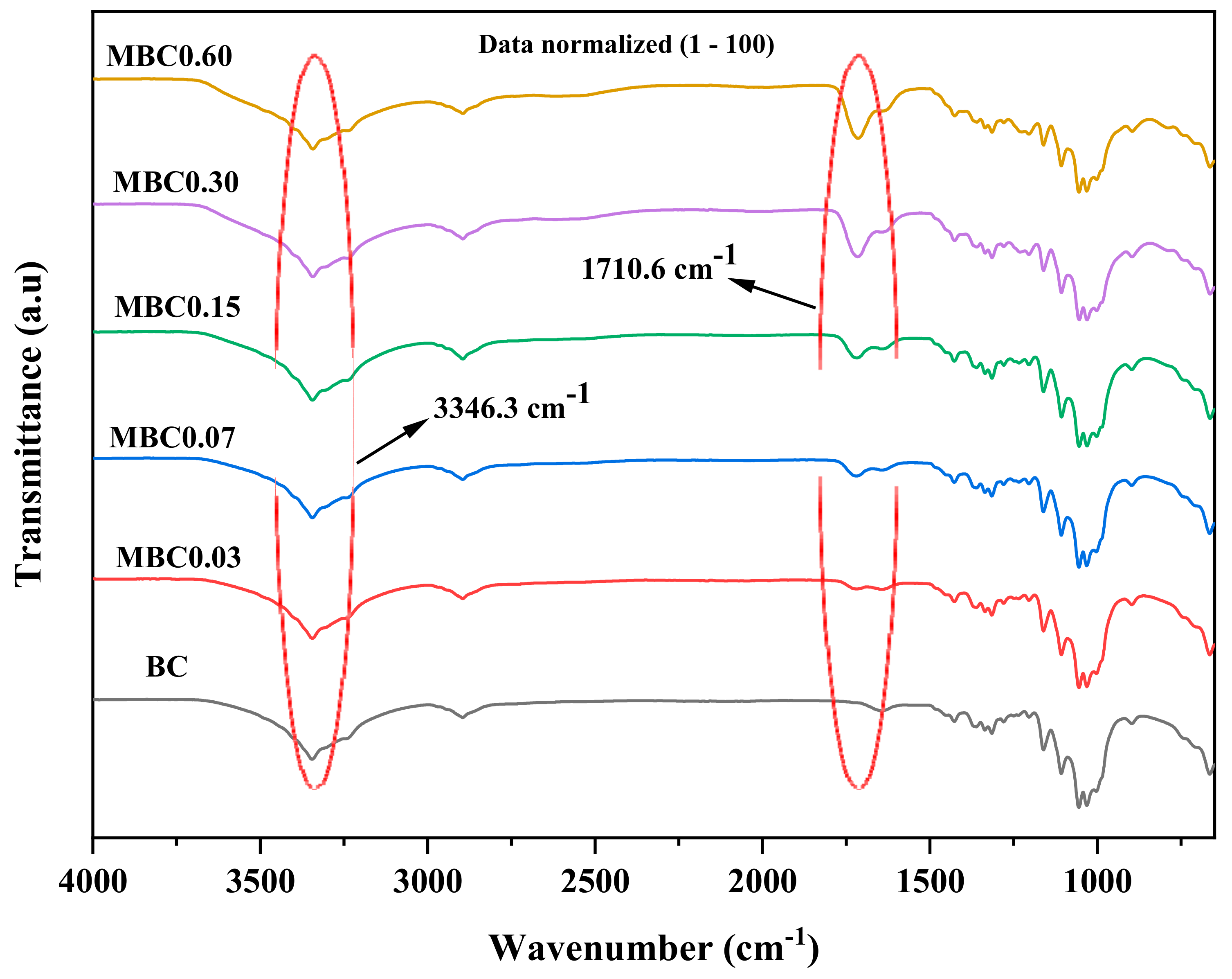 Polymers 13 02966 g002
