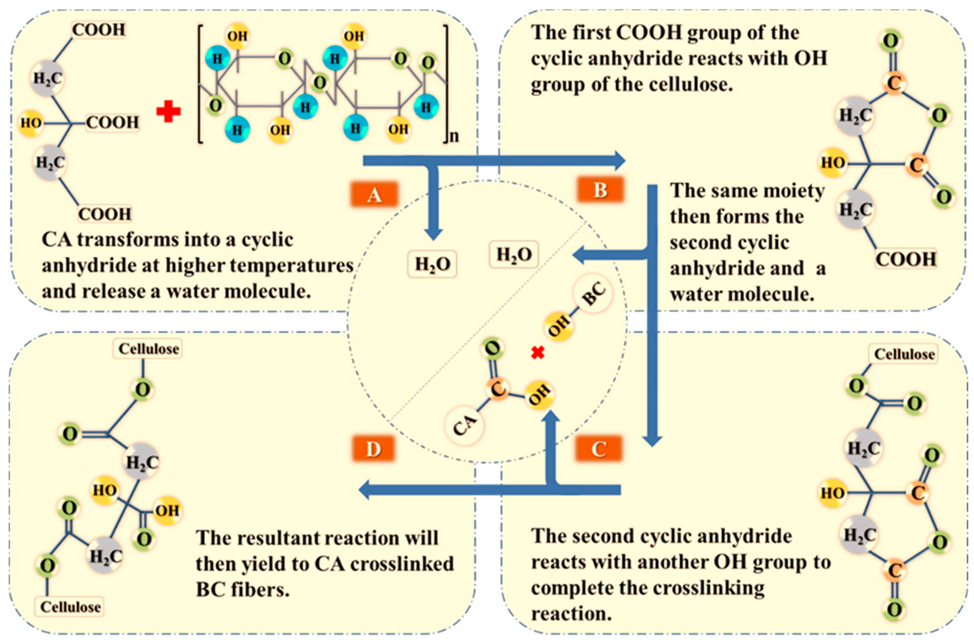 Polymers 13 02966 g003