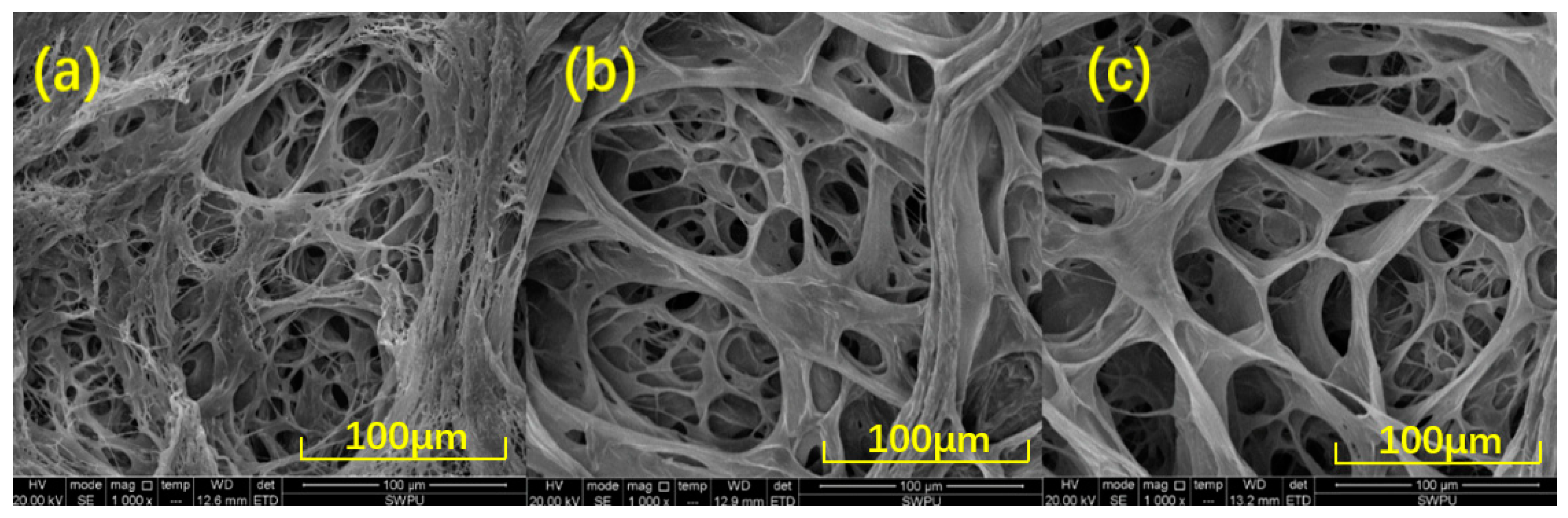 Polymers 13 02972 g009