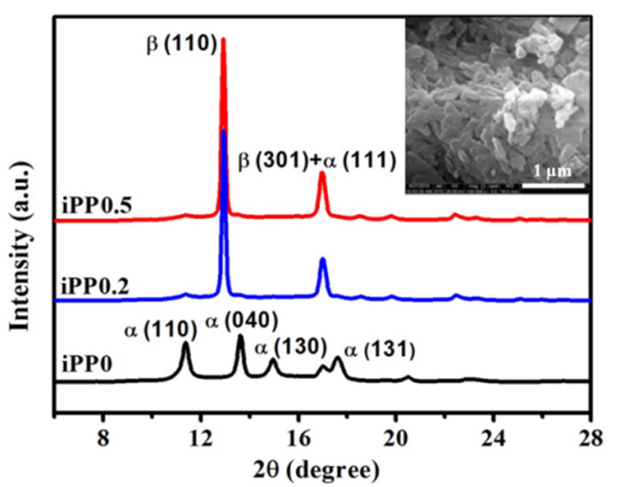 Polymers 13 02984 g002