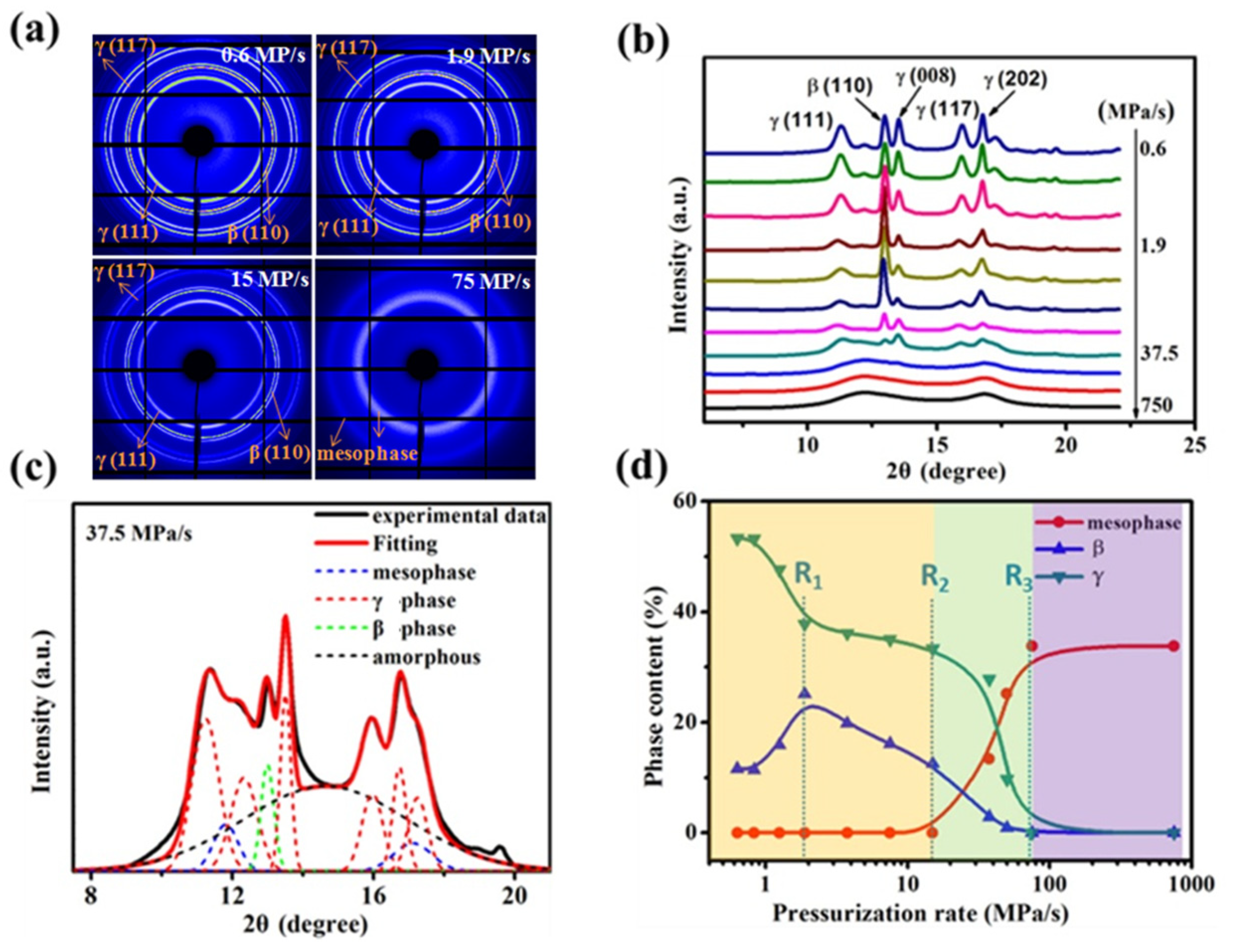 Polymers 13 02984 g003