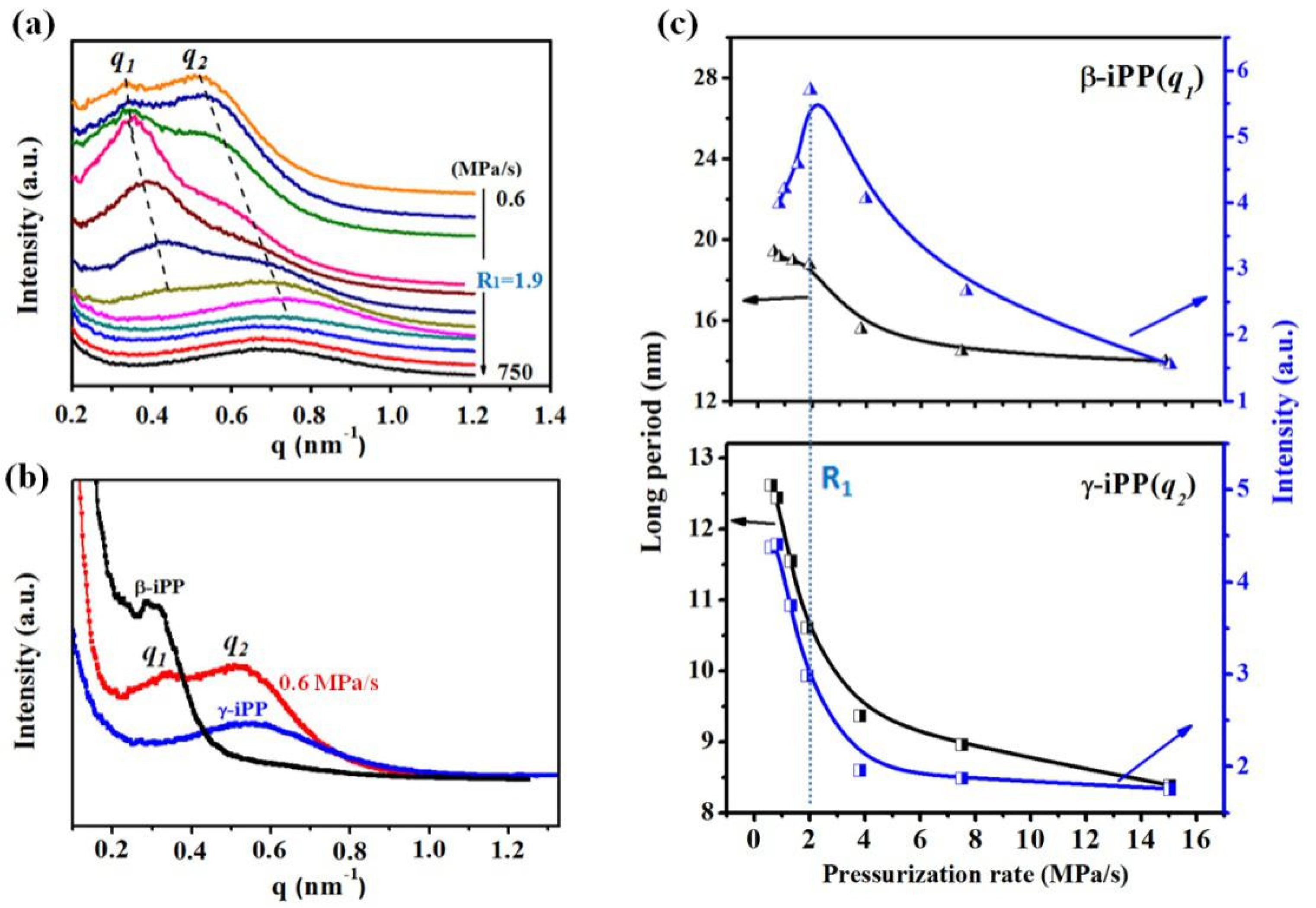 Polymers 13 02984 g005