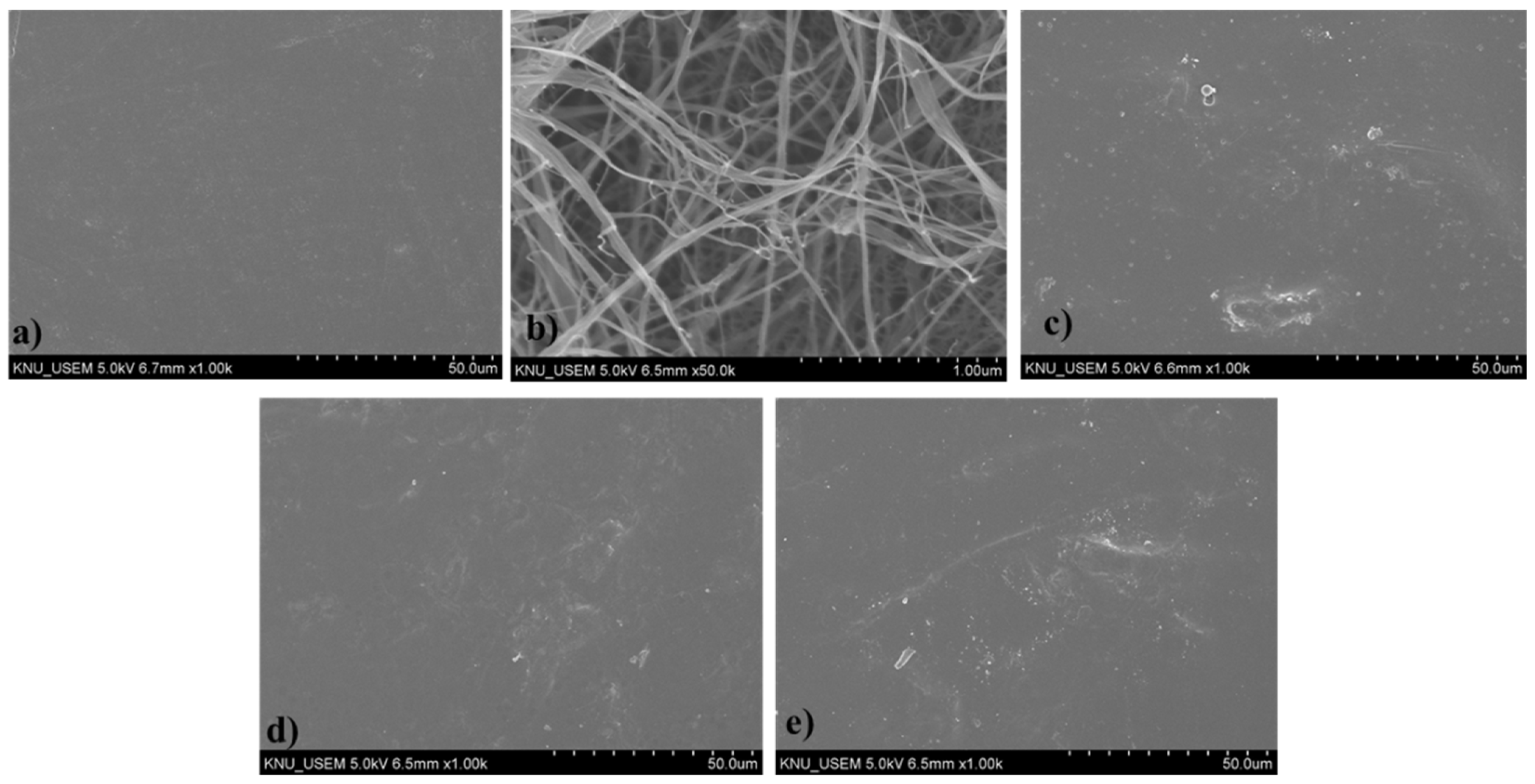Polymers 13 02990 g009