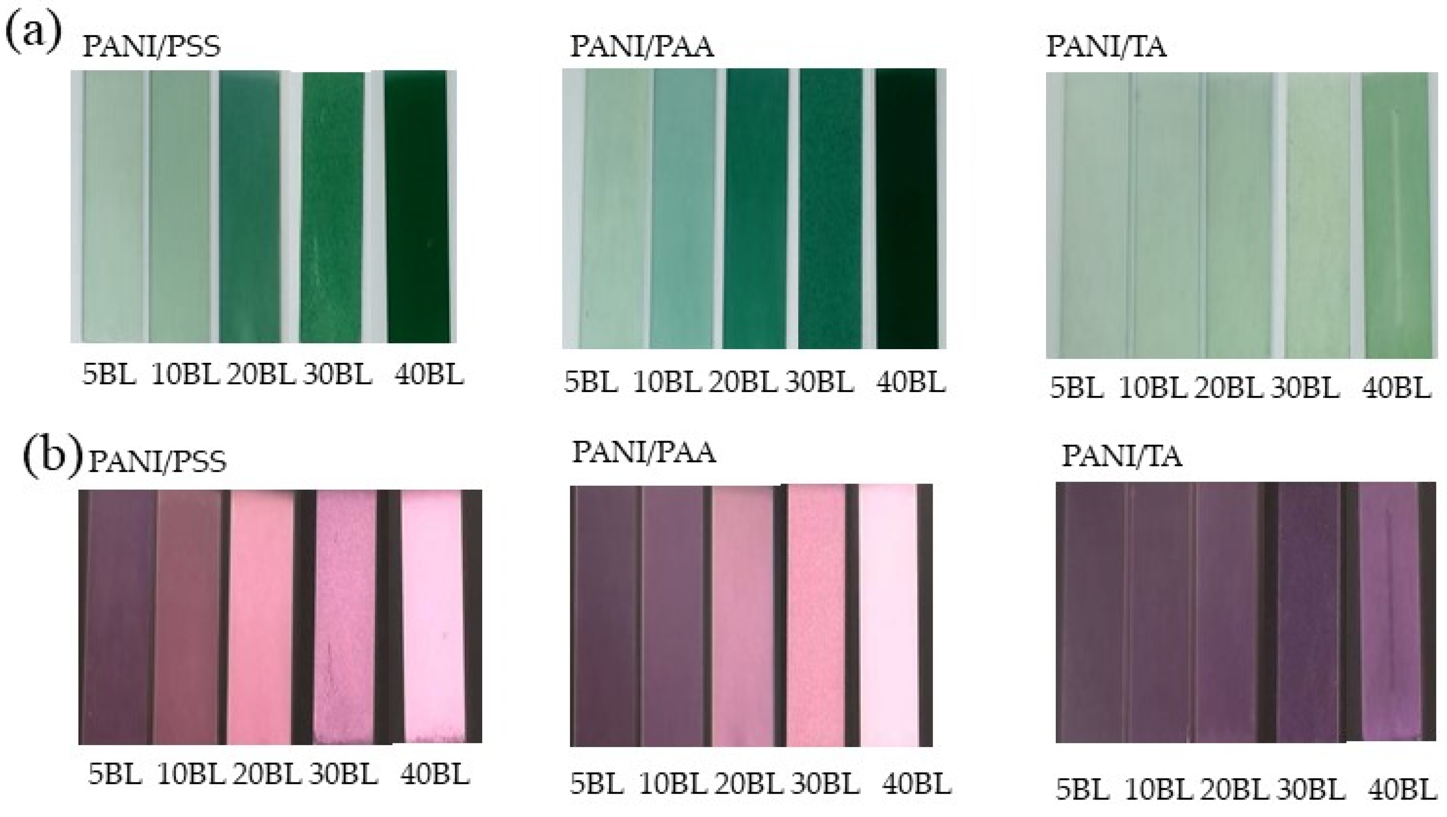 Polymers 13 02992 g001a