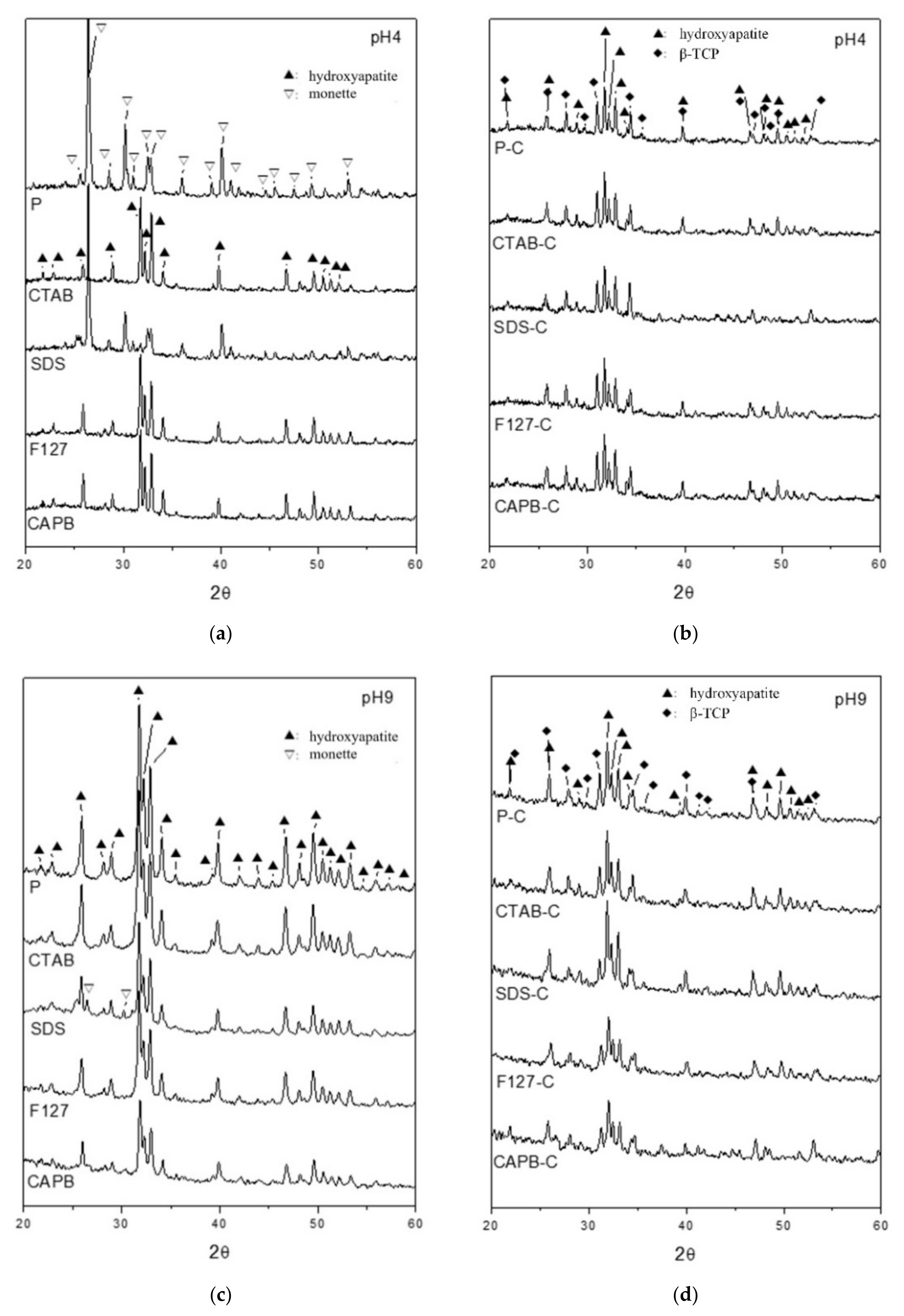 Polymers 13 02994 g001