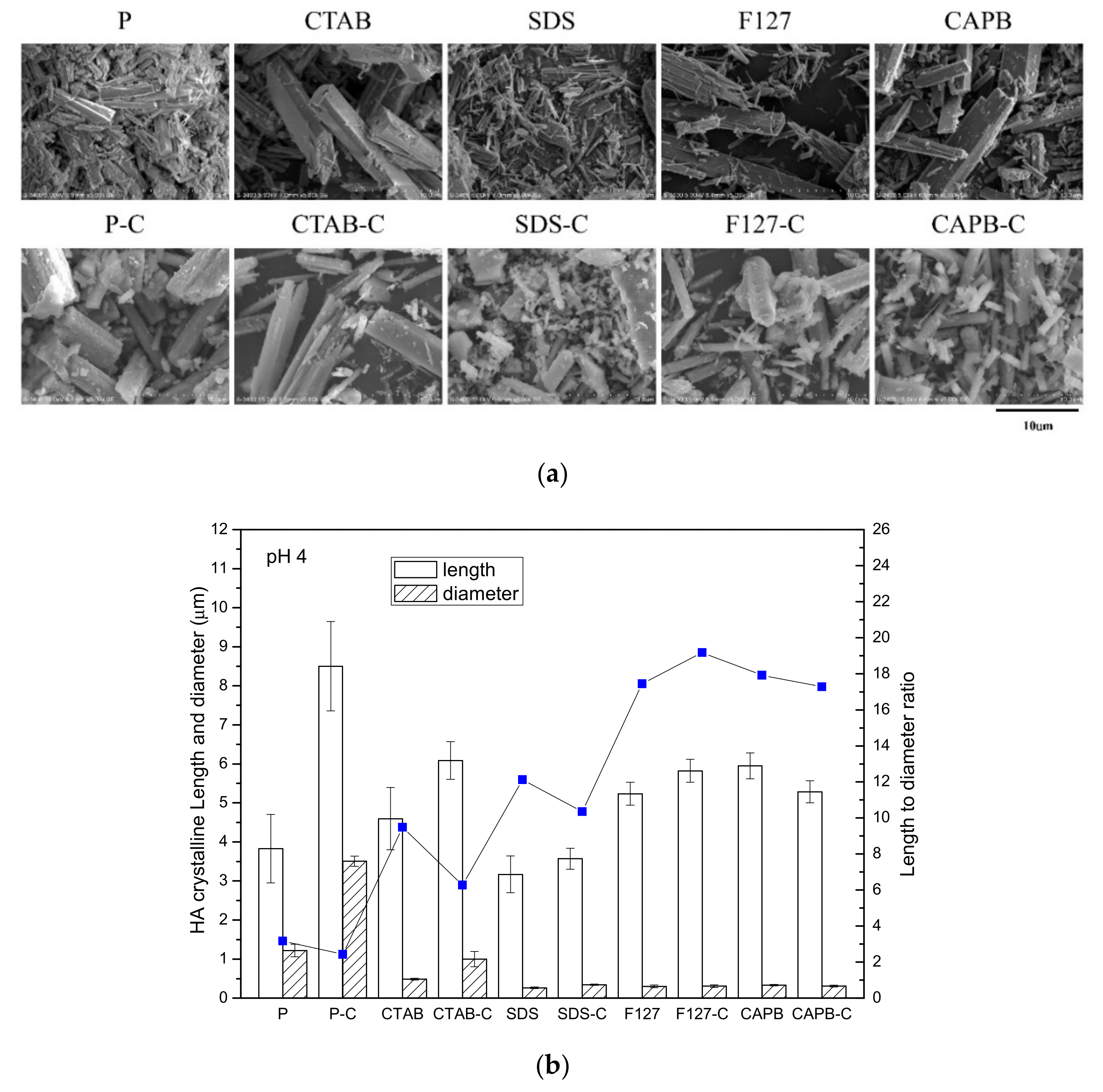Polymers 13 02994 g003