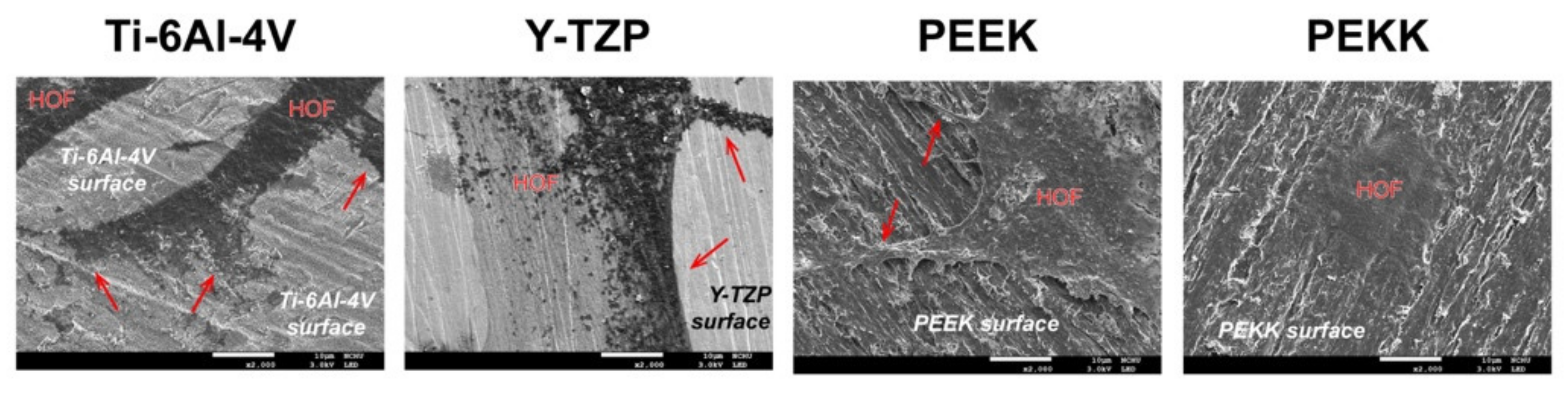 Polymers 13 02995 g003