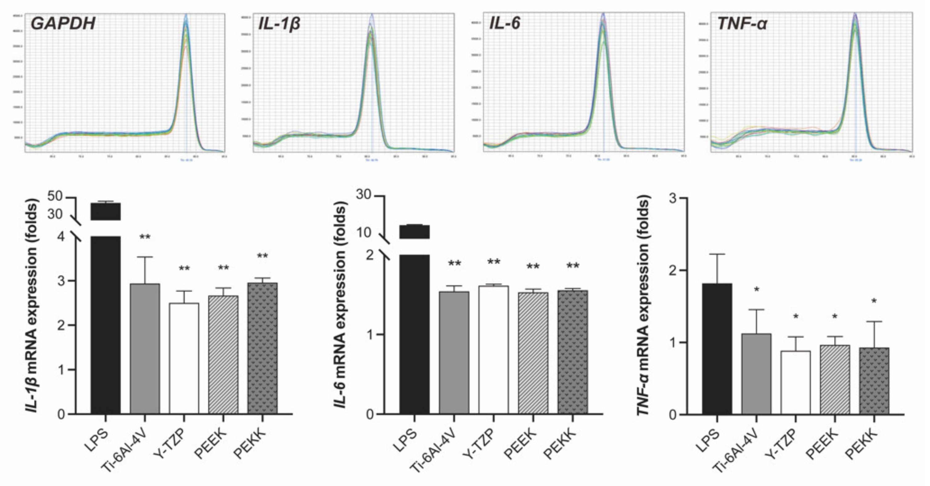 Polymers 13 02995 g005