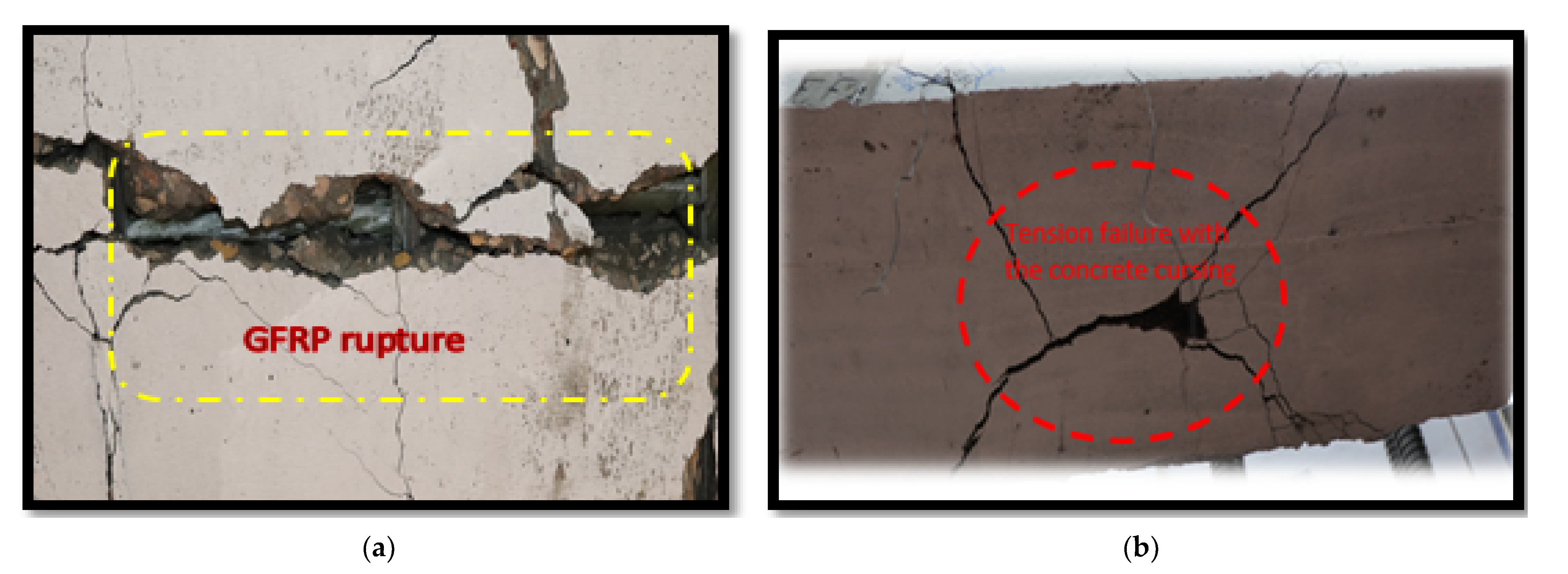 Polymers 13 02997 g008