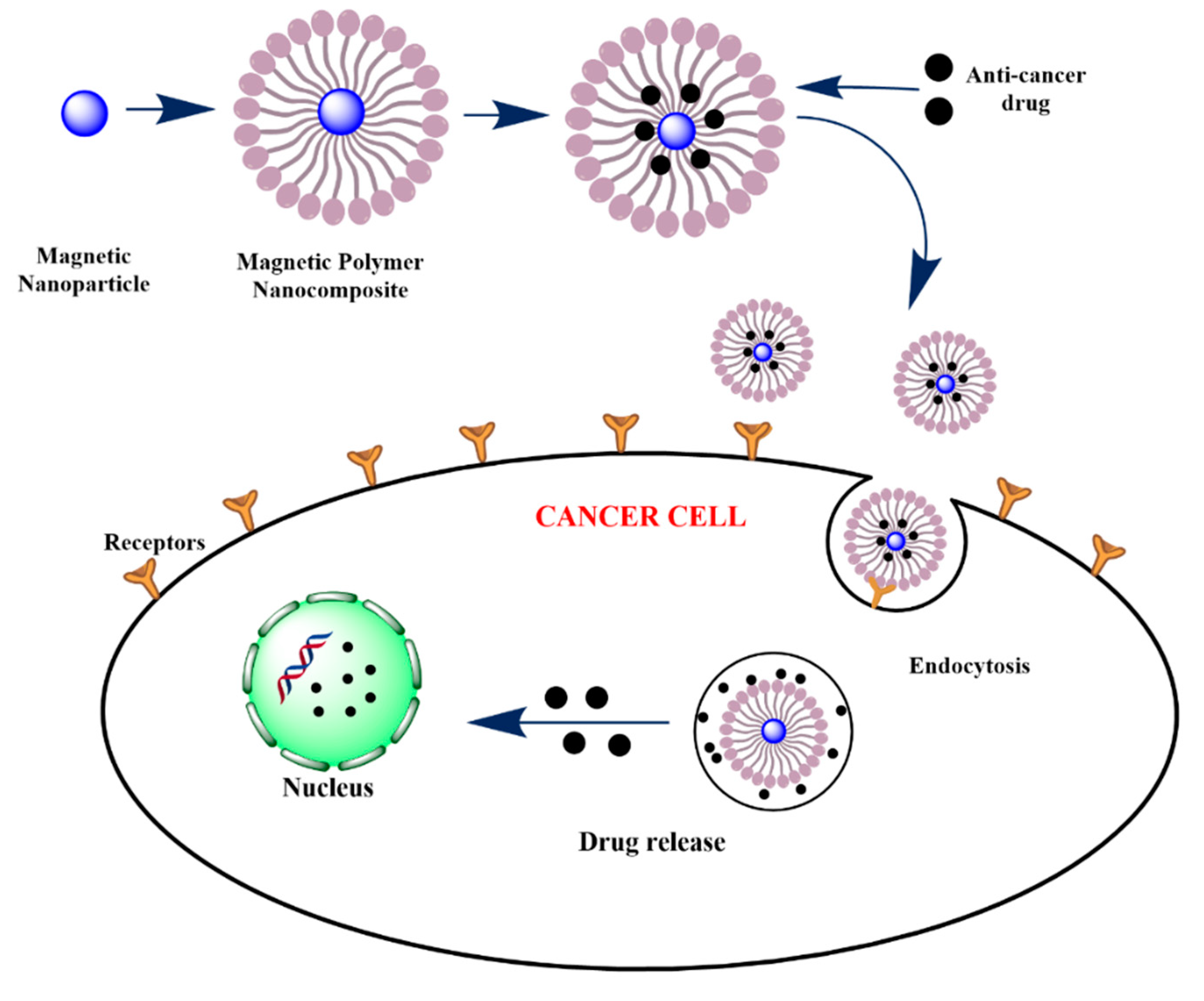 Polymers 13 02998 g004