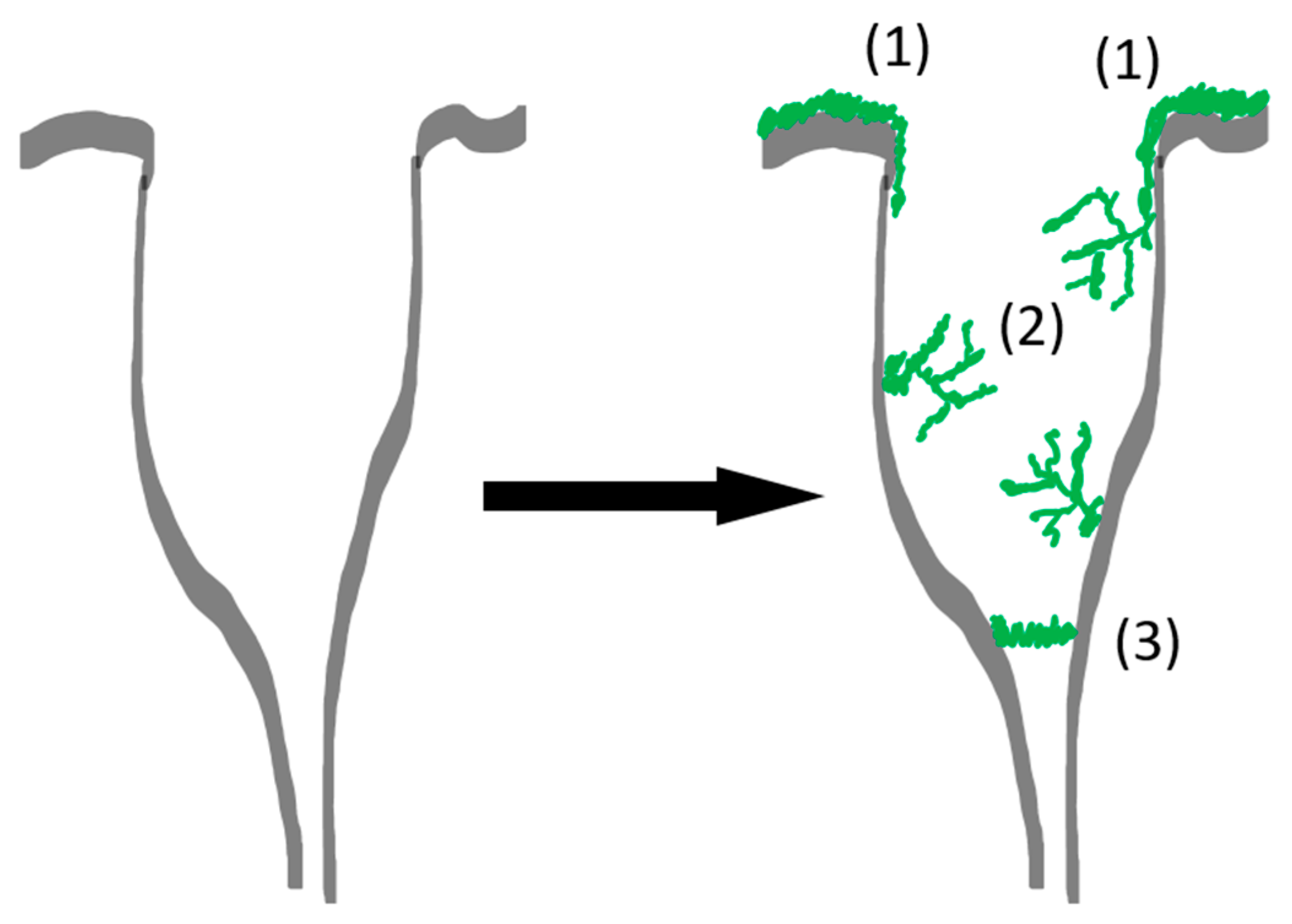 Polymers 13 03000 g009 Polymers 13 03000 g009